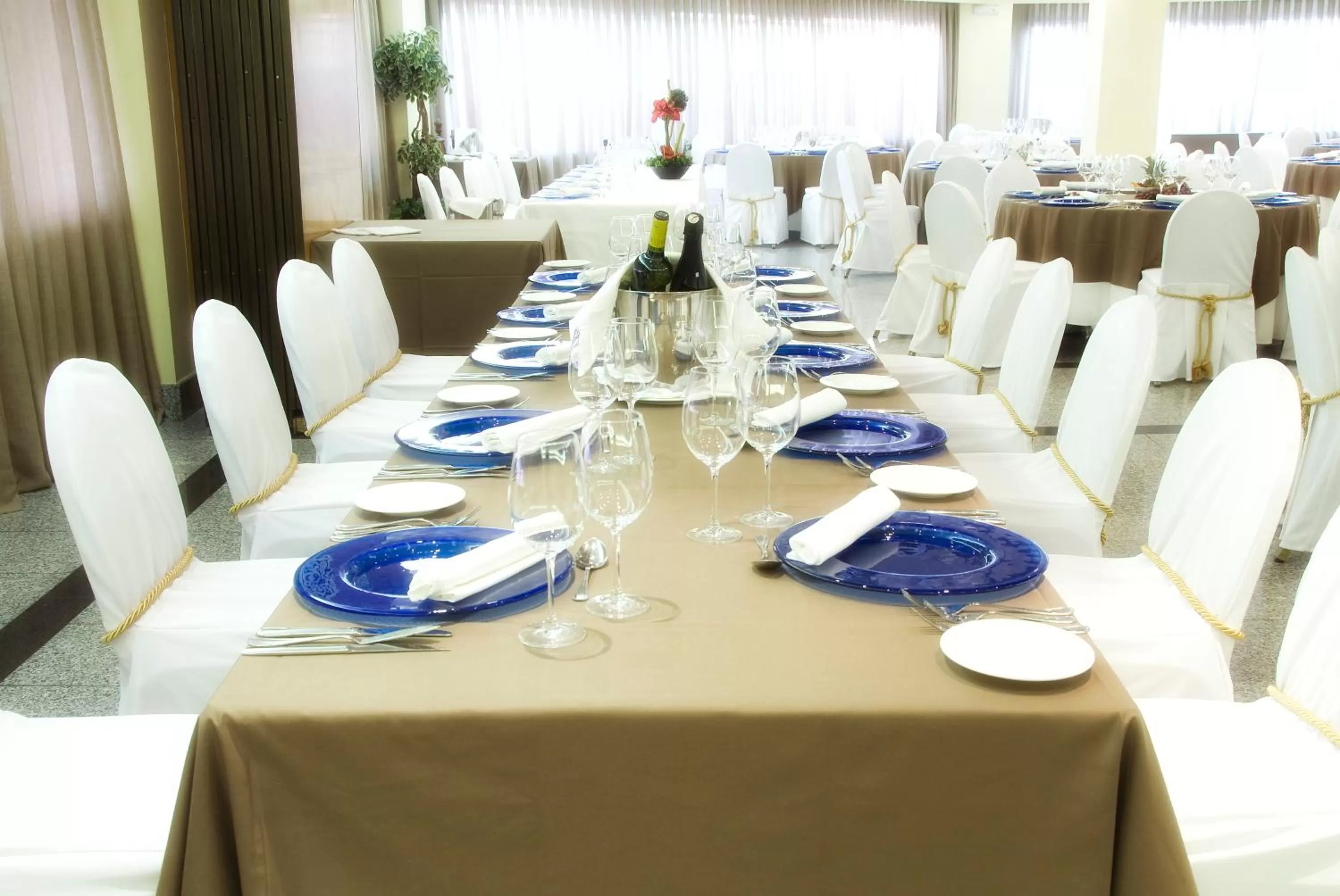 Restaurant/places to eat in Parquesur