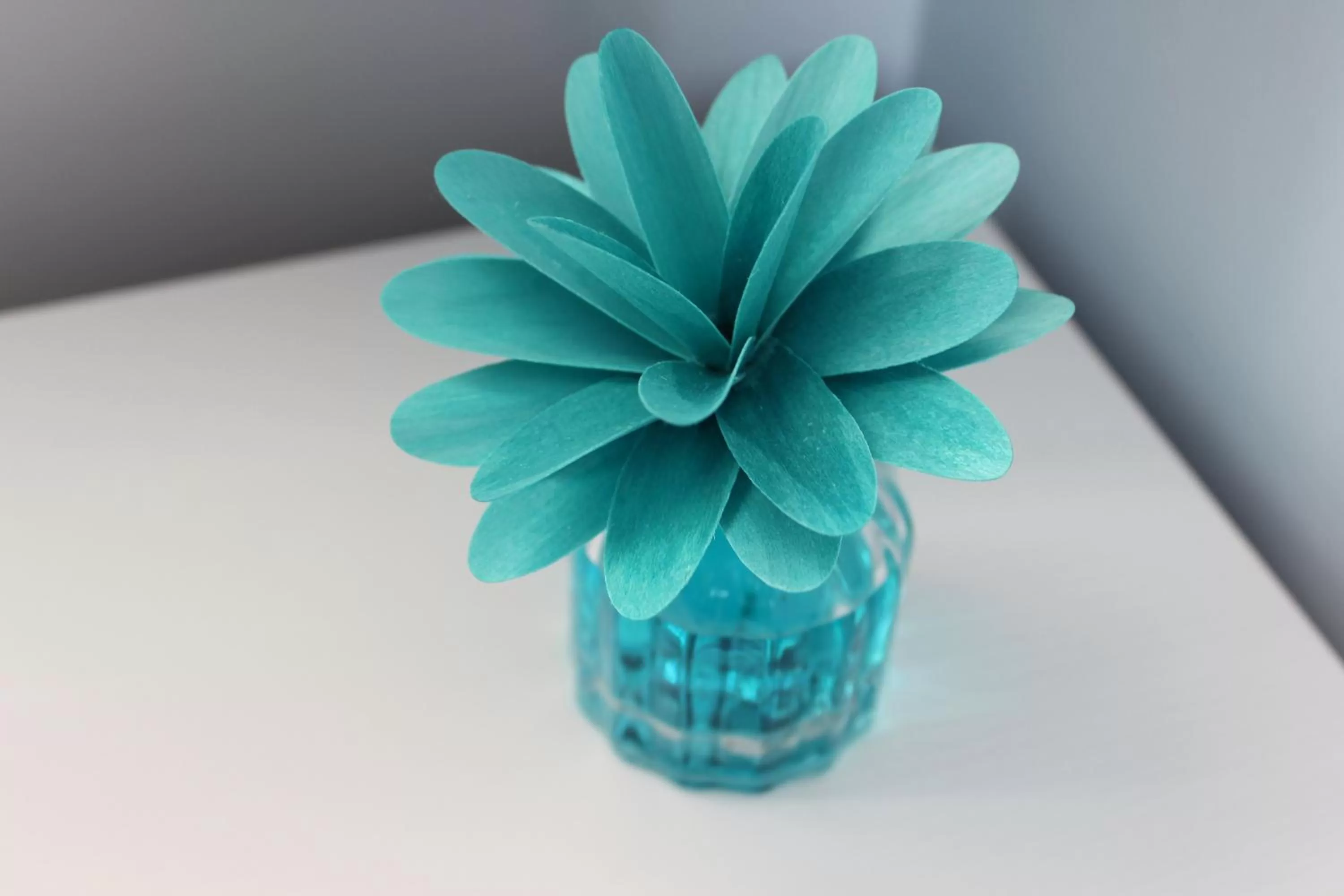 B&B L'EDEN DI CAPO BIANCO