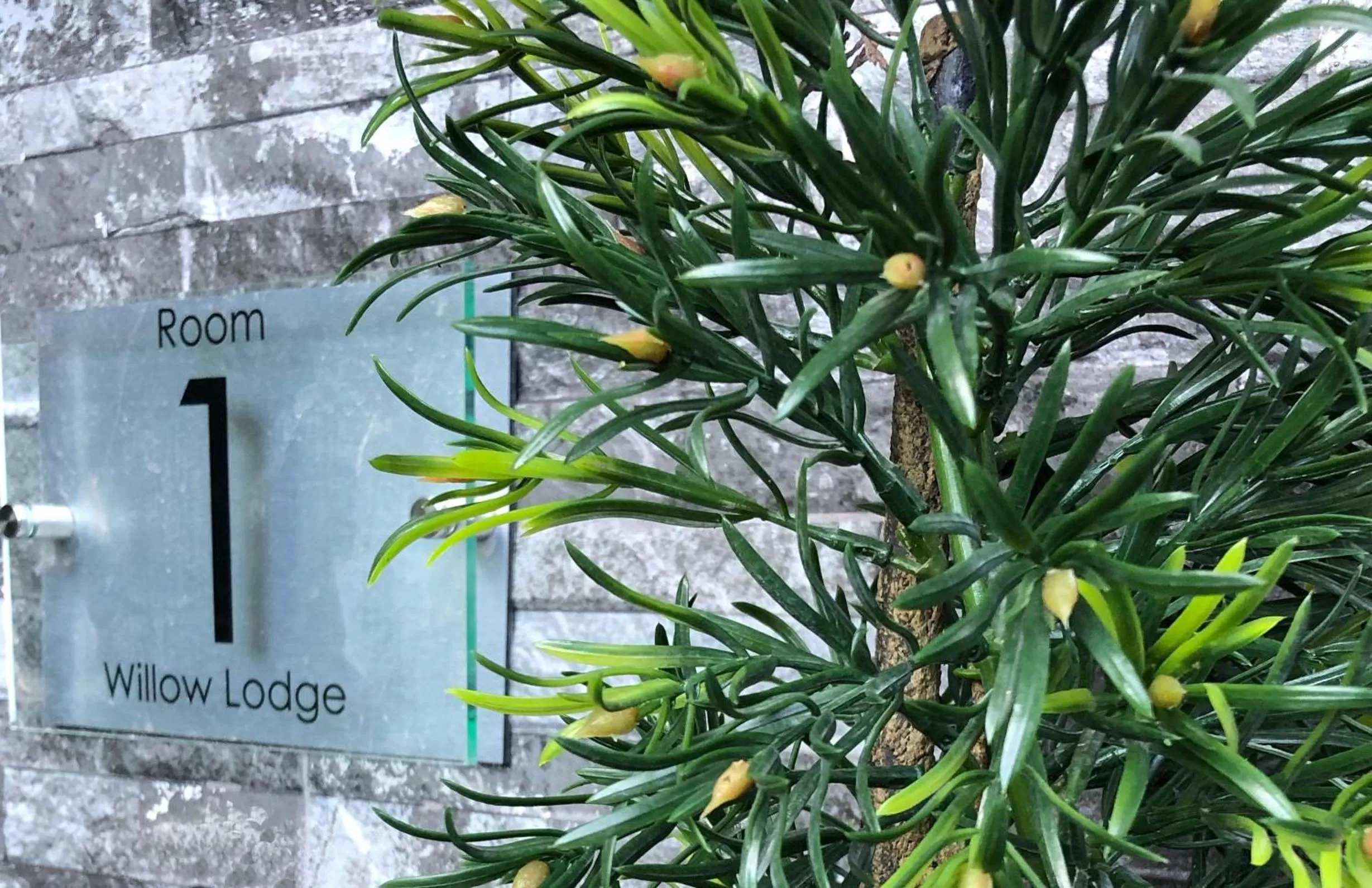 Facade/entrance in Willow Lodge Hambleton