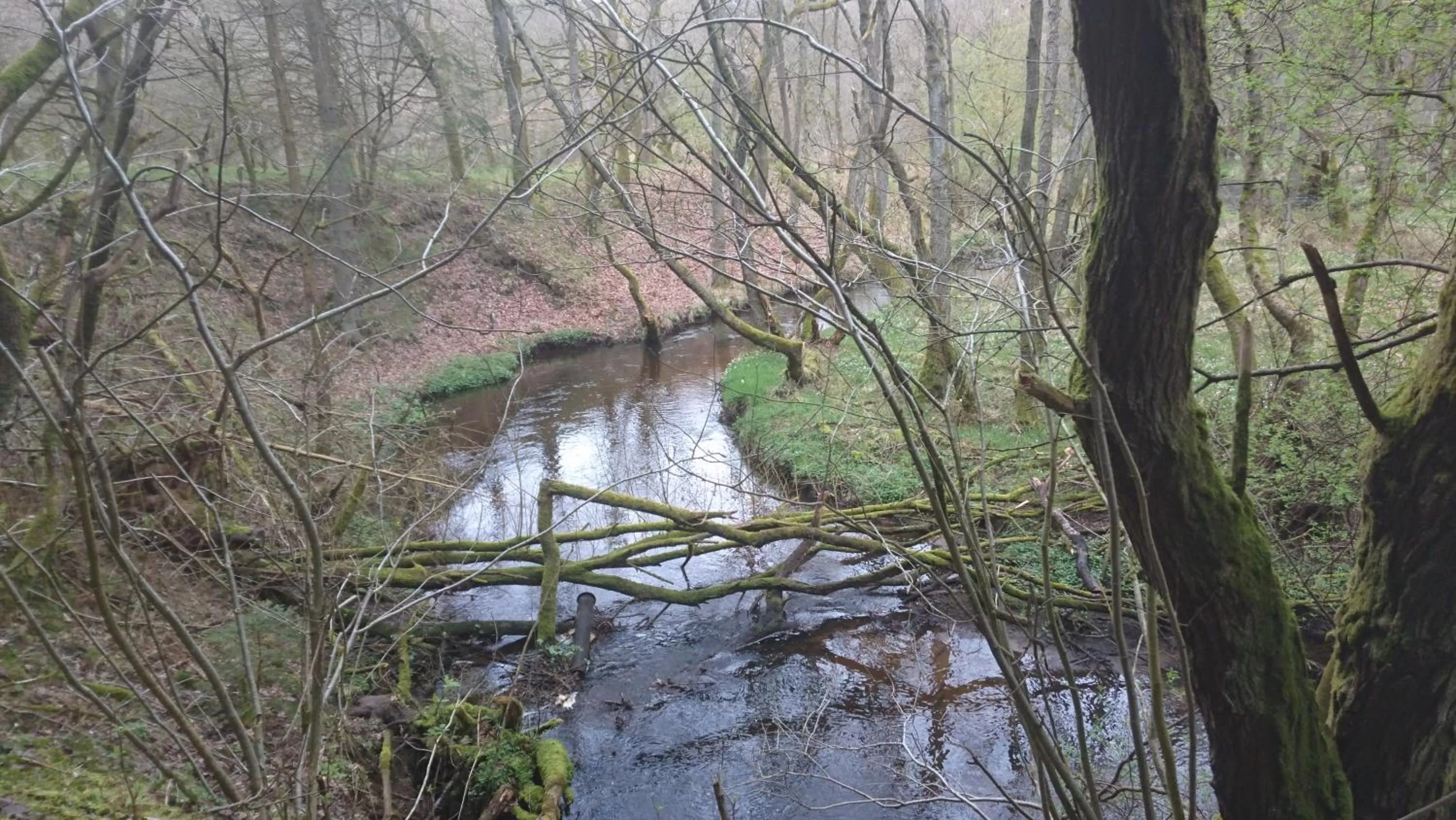 Nearby landmark, Natural Landscape in Egtved Hotel