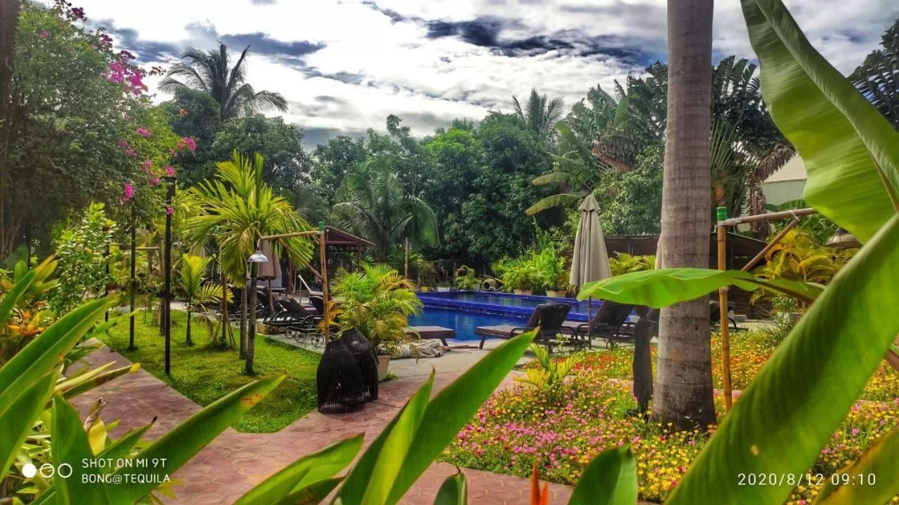 Garden in Au Cabaret Vert