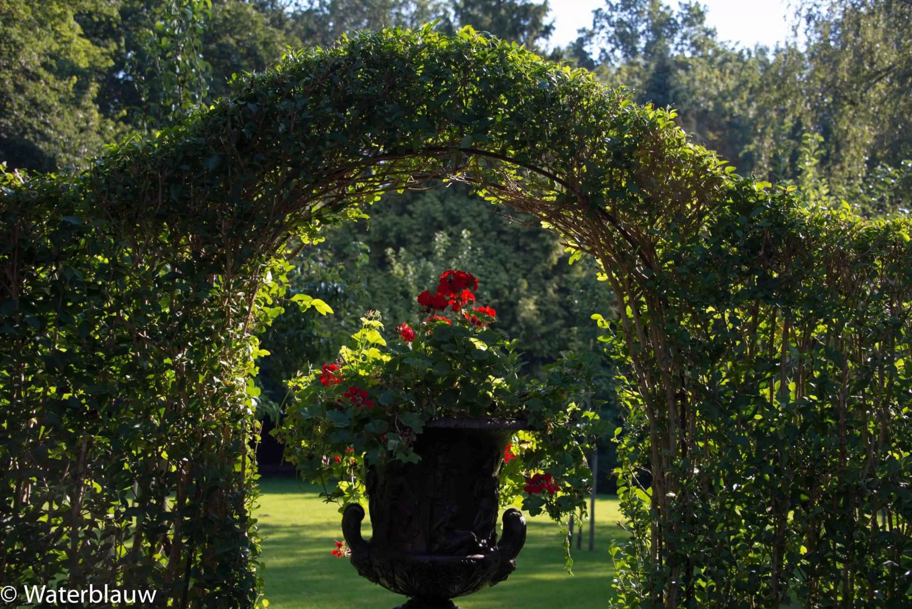 Day in Logement Swaenenvecht