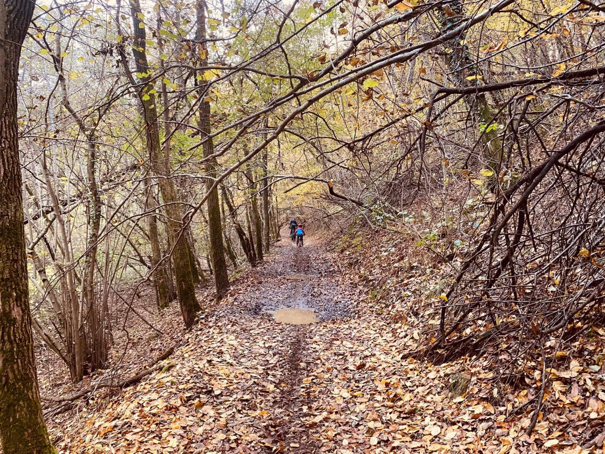 Cycling in Impero Hotel Beauty & Spa - Bike Hotel
