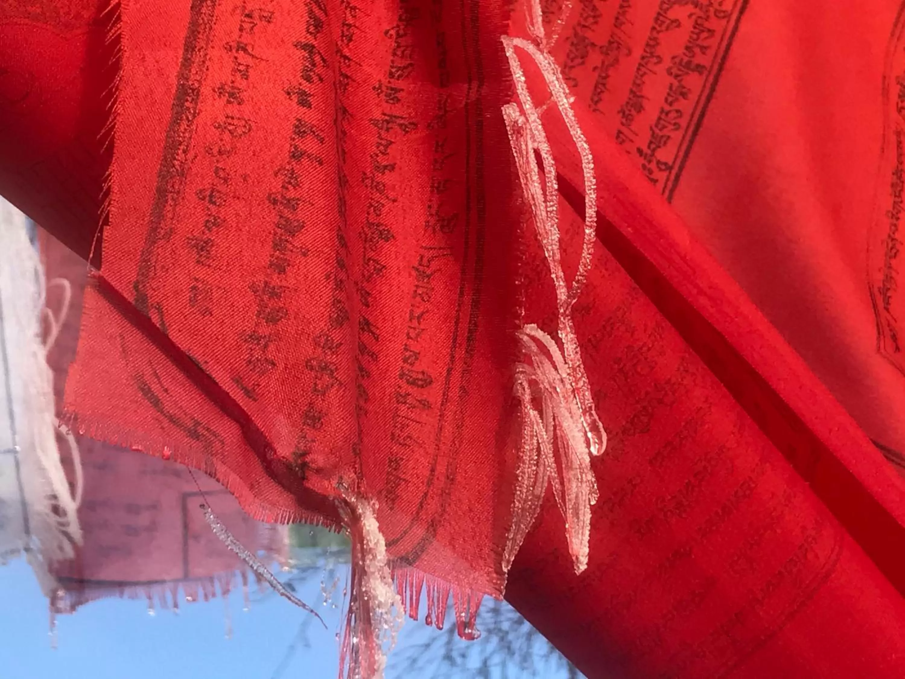 Garden view in Bed and Breakfast Bavaria München