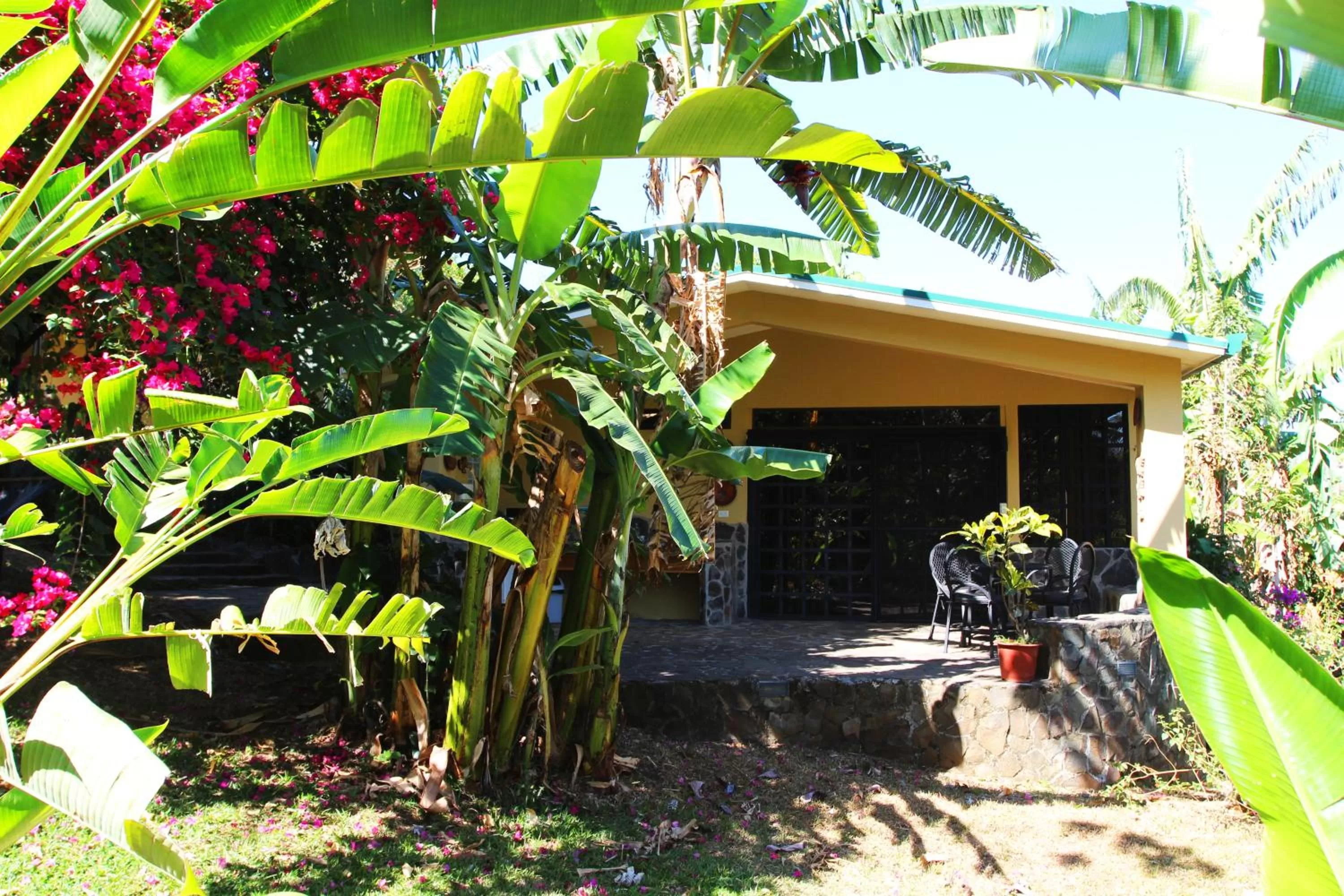 Patio in Pura Vida Hotel