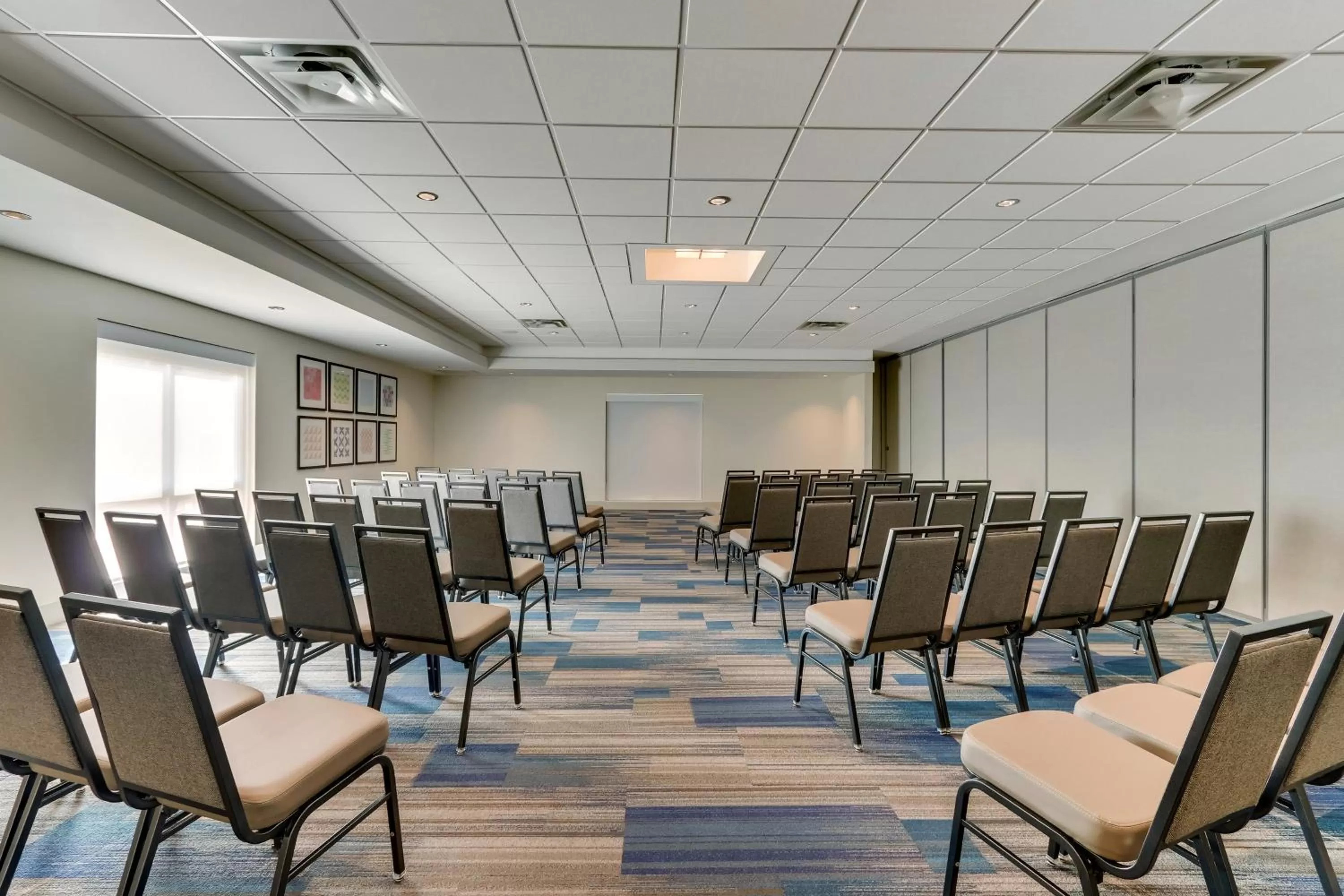 Meeting/conference room in Holiday Inn Express & Suites - Dawsonville by IHG