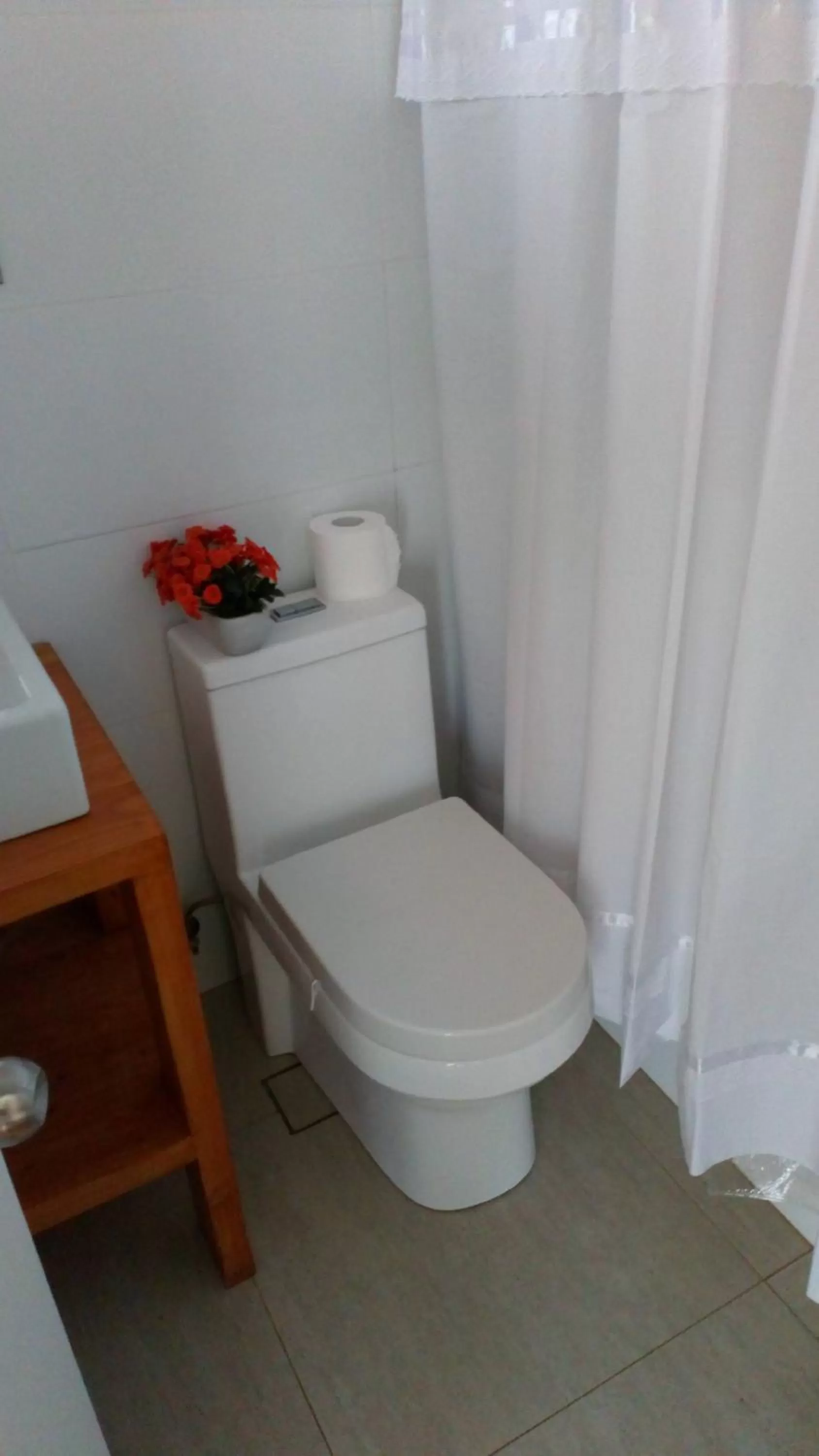 Decorative detail, Bathroom in Hostal Parcela 47 villarrica