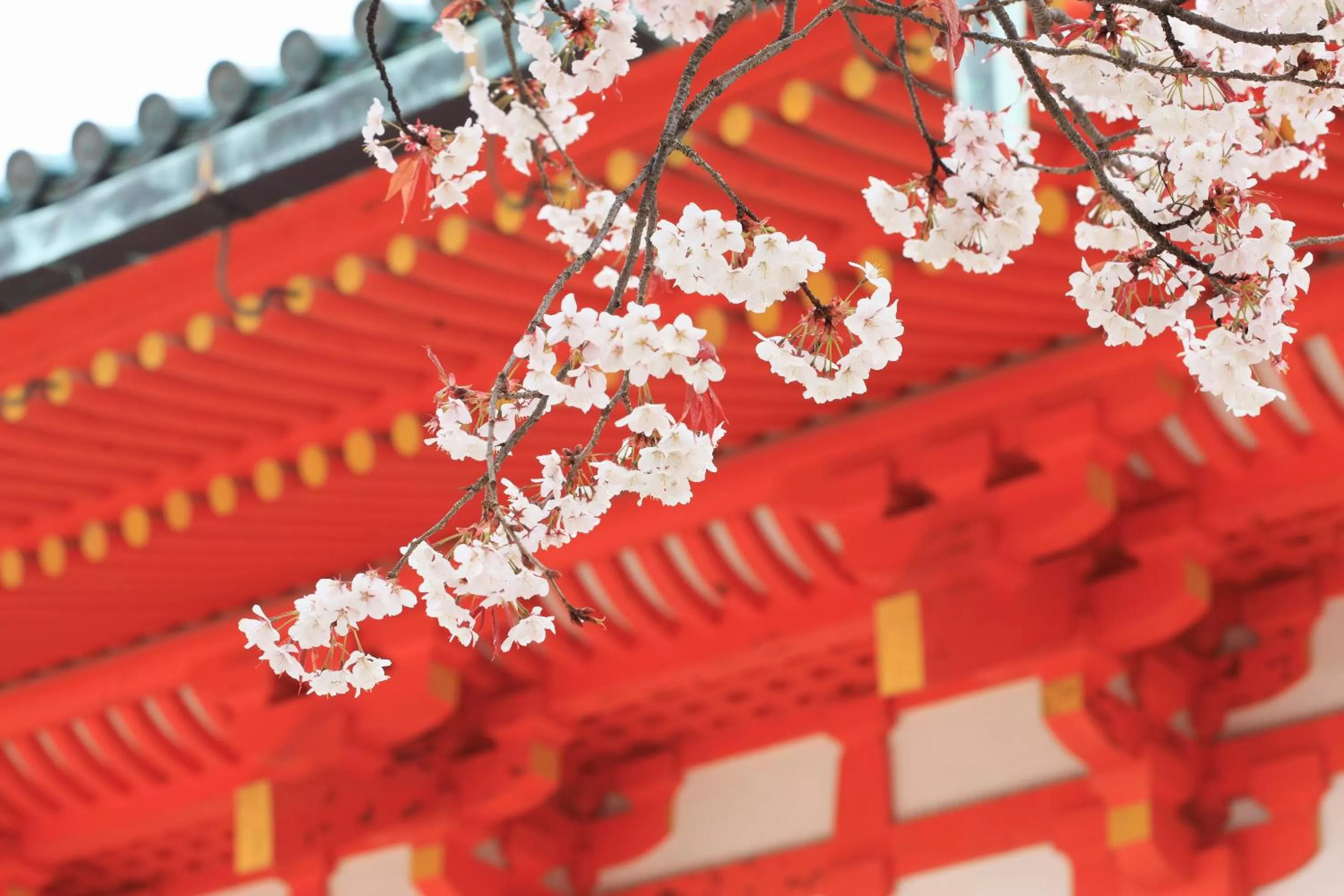 Nearby landmark in Urban Hotel Kyoto