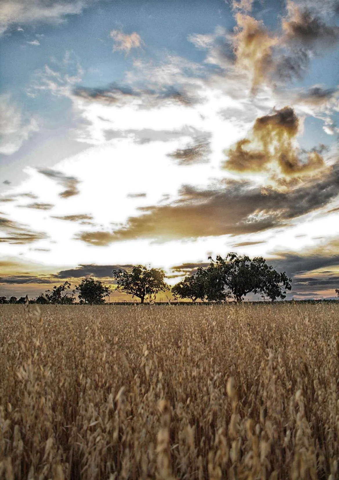 Other in Hotel Rocamar