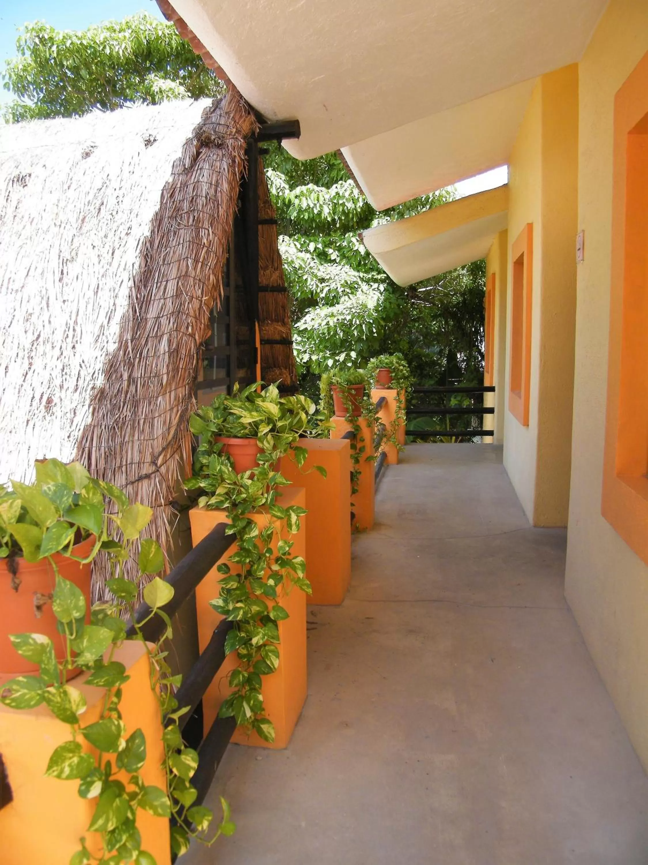 Property building in Hotel LunaSol