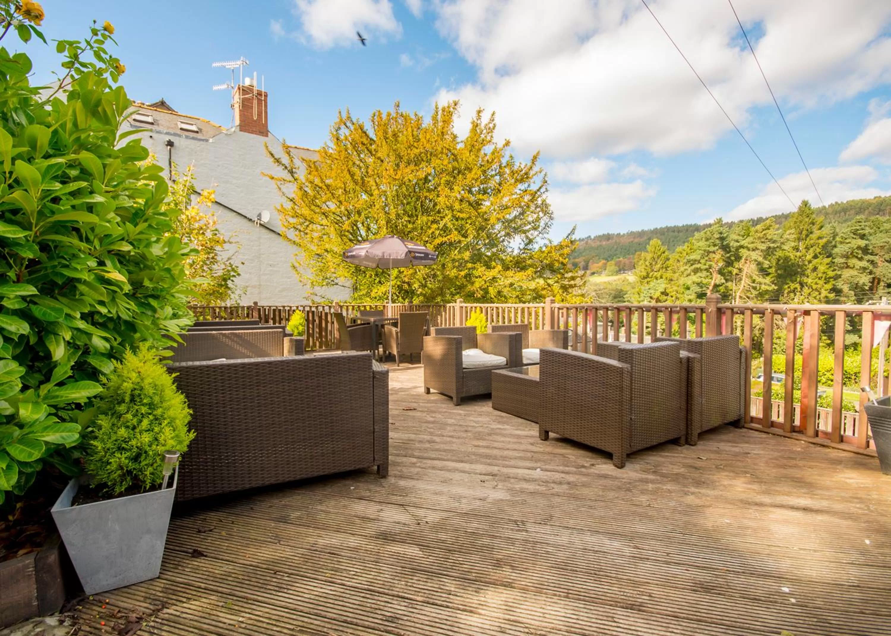 Garden in Coquetvale Hotel