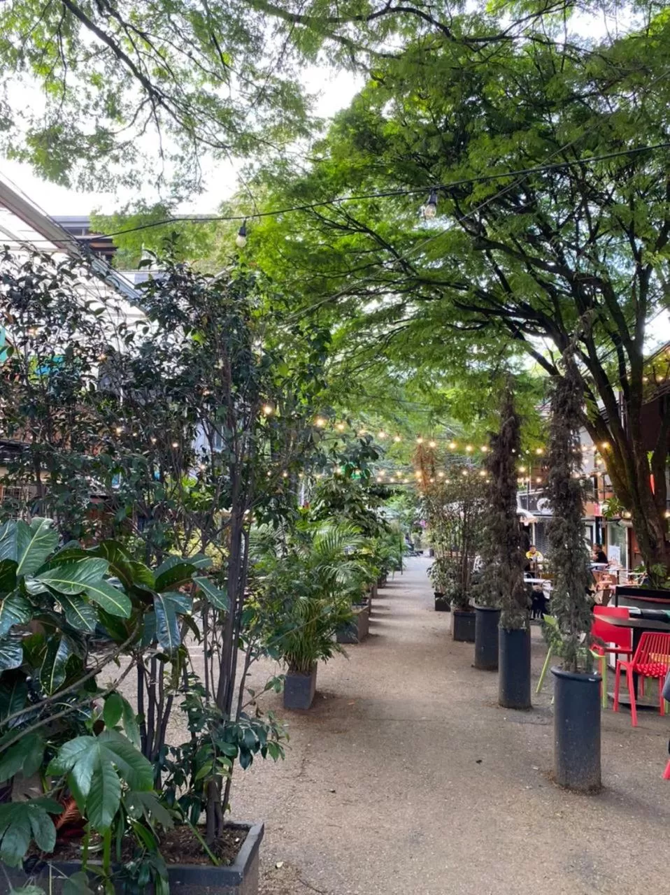 Stanza Hotel Medellin