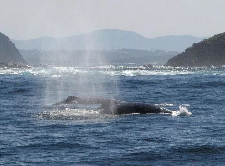 Boathouse Resort (Water Front)