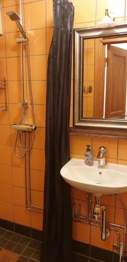 Shower, Bathroom in Woodstock B & B Studios