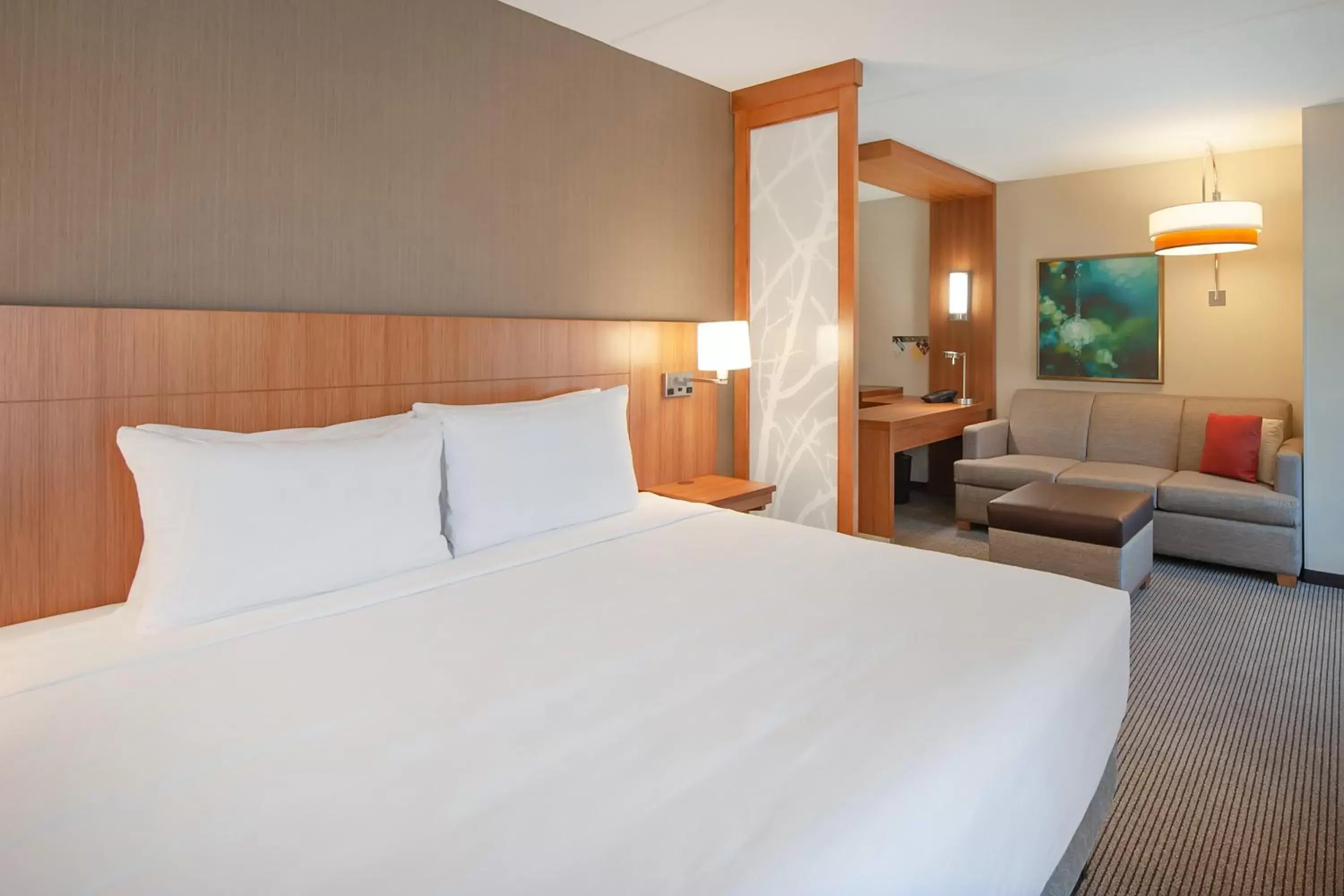 King Room with Sofa Bed and Roll-In Shower - Disability Access in Hyatt Place Durham Southpoint King Room with Sofa Bed and Roll-In Shower - Disability Access in Hyatt Place Durham Southpoint