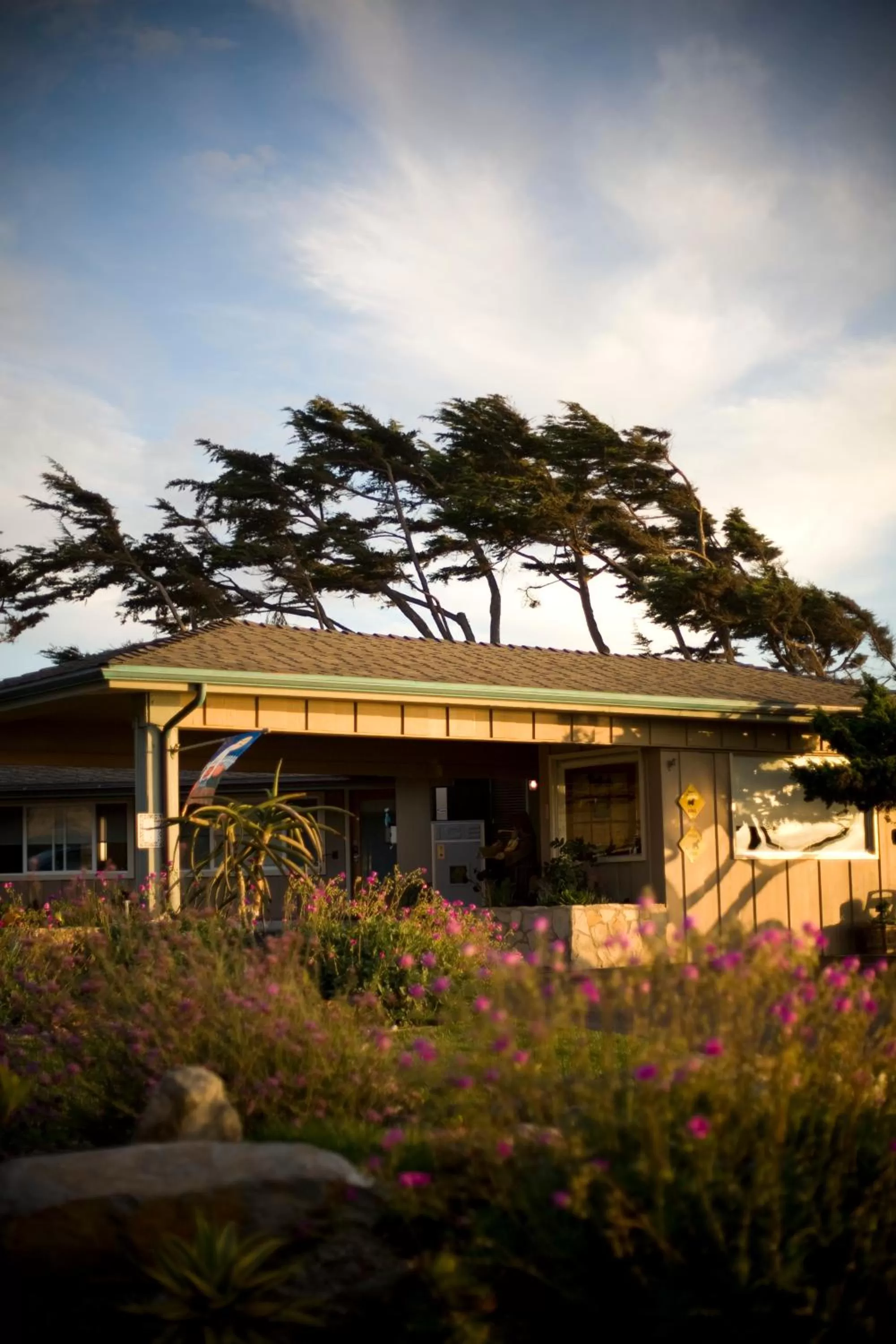 Facade/entrance in Cambria Shores Inn