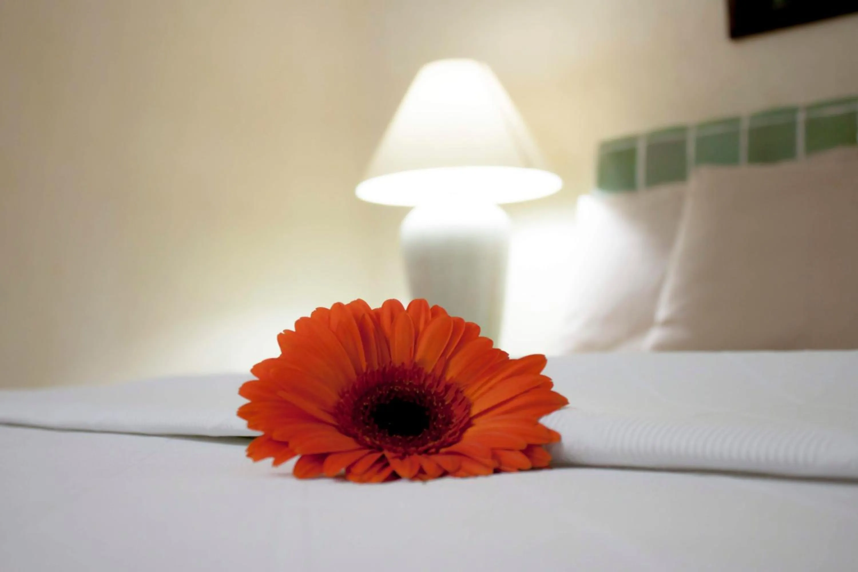 Bedroom, Bed in Coral Ixtapa