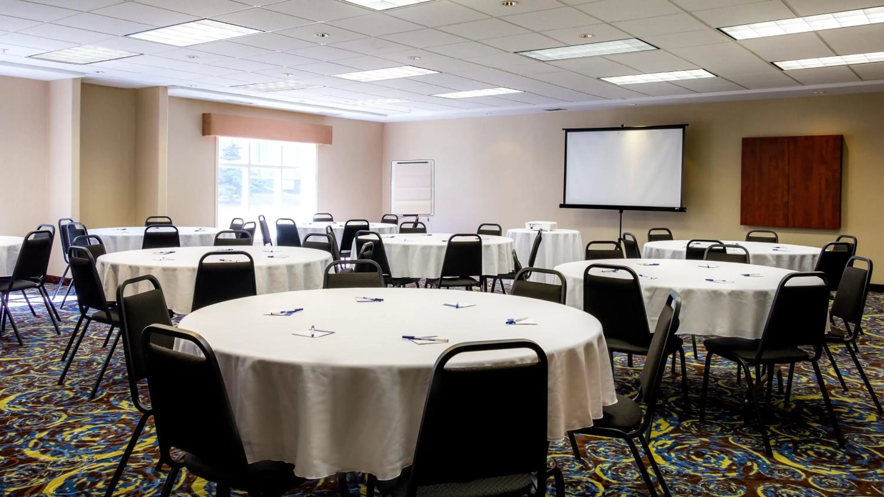 Meeting/conference room in Holiday Inn Express Hotel & Suites - Edmonton International Airport by IHG