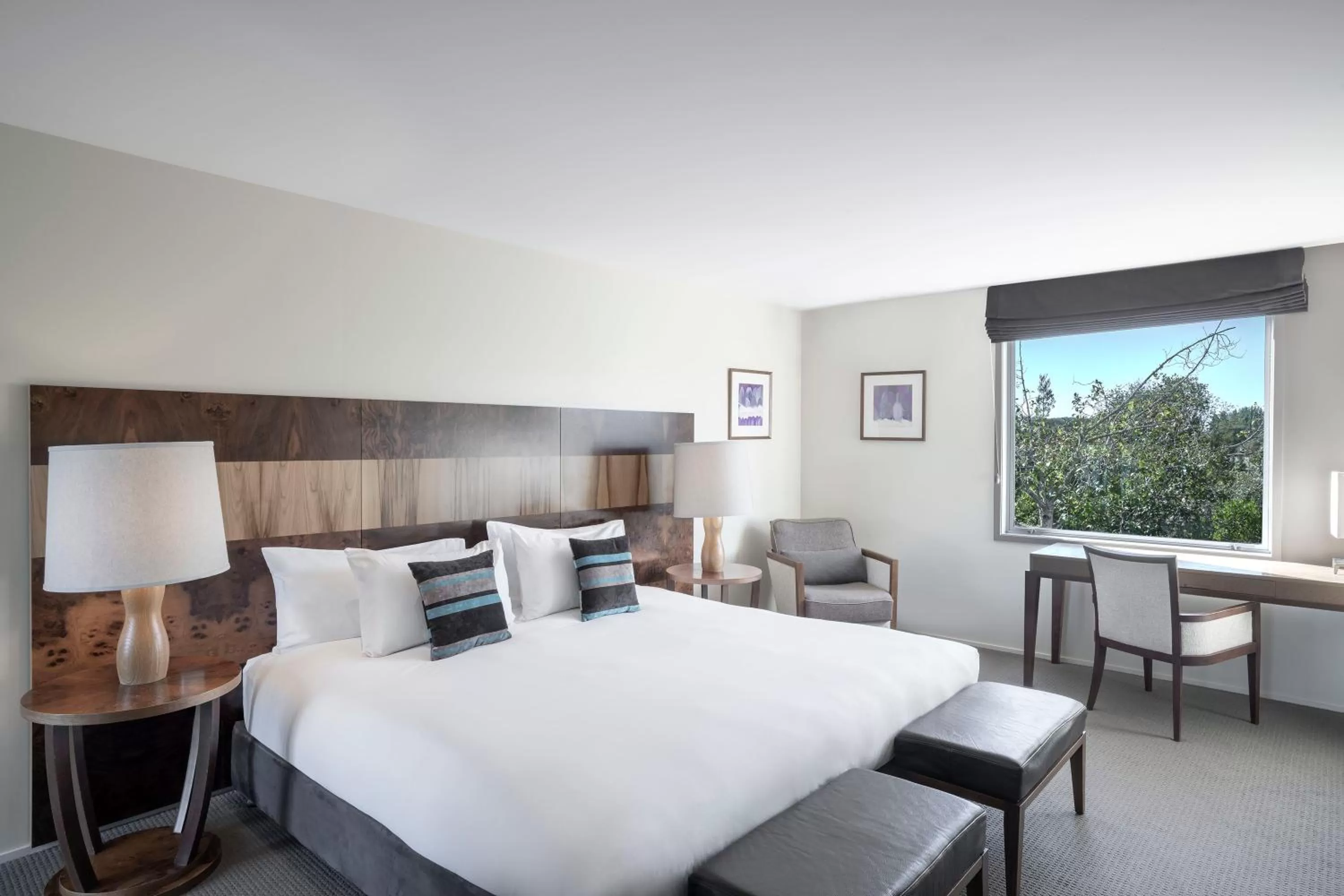 Photo of the whole room, Bed in Peppers Clearwater Resort