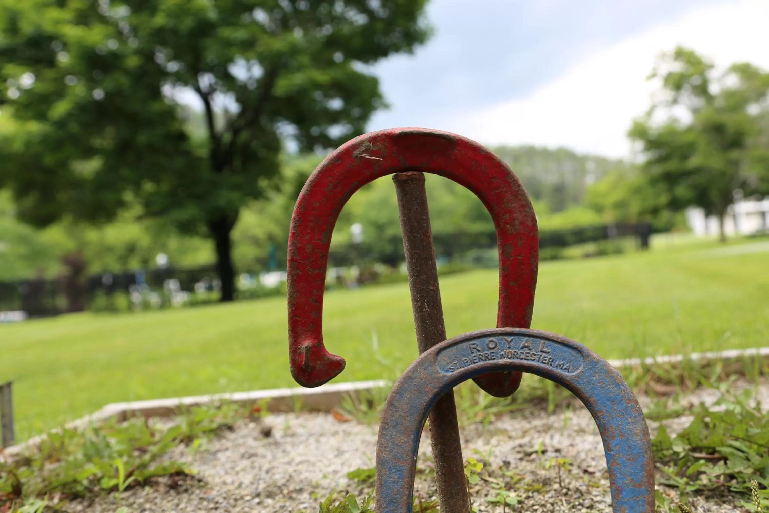 Activities in Fairbanks Inn