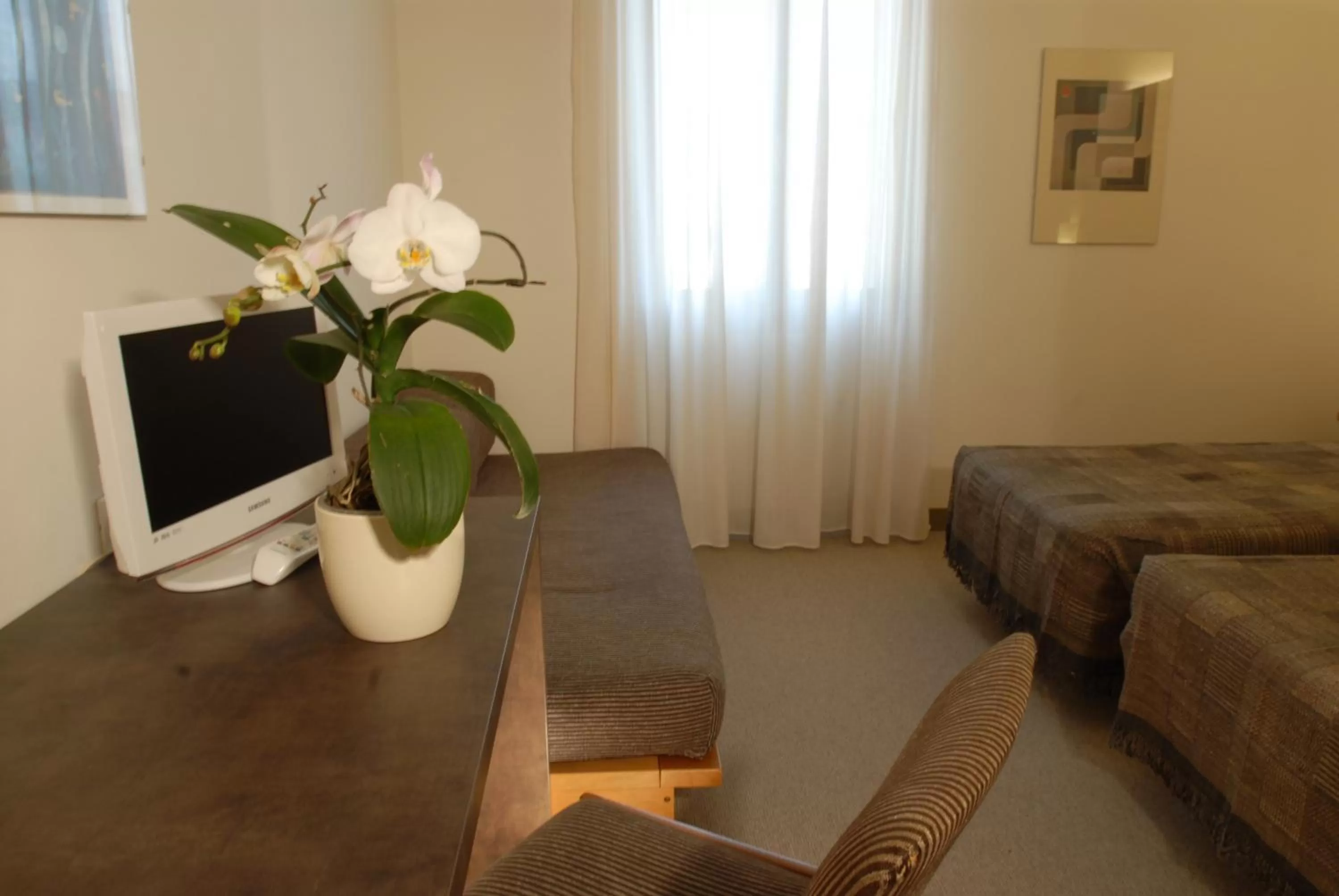 TV and multimedia in Albergo Al Sole