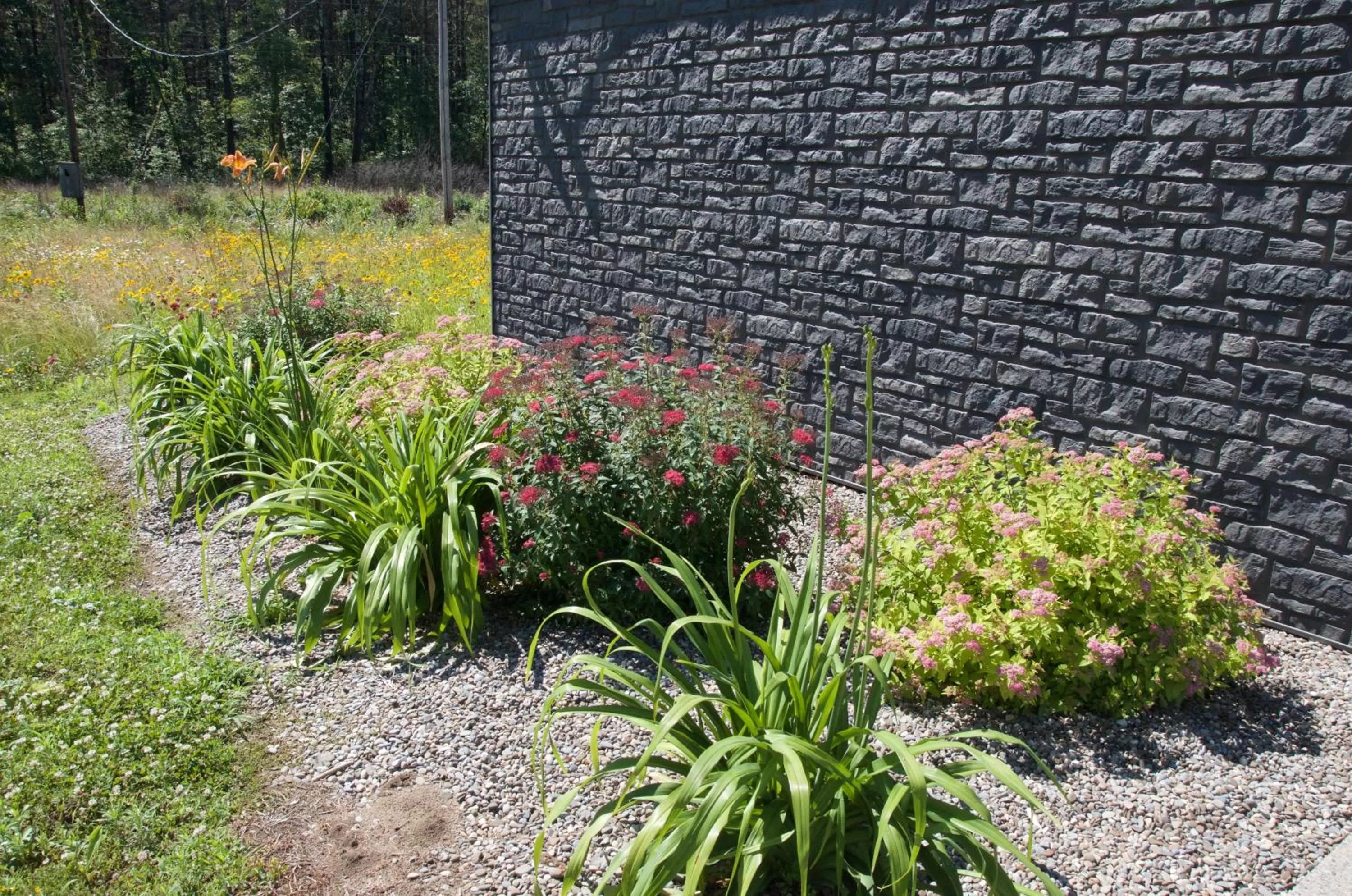 Natural landscape in Sara Glen Motel - Saratoga Springs-Glens Falls