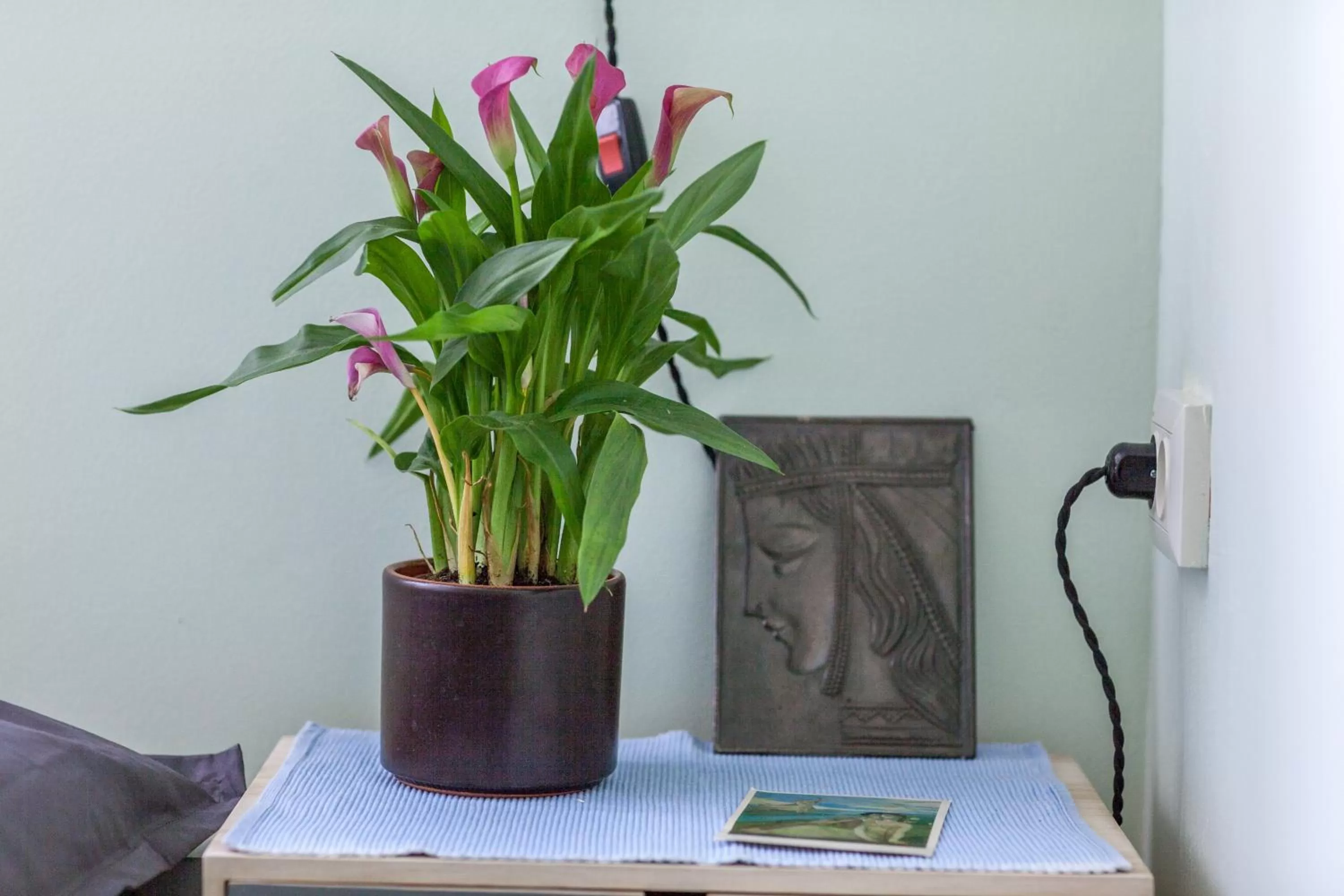 TV/Entertainment Center in Vagabond B&B