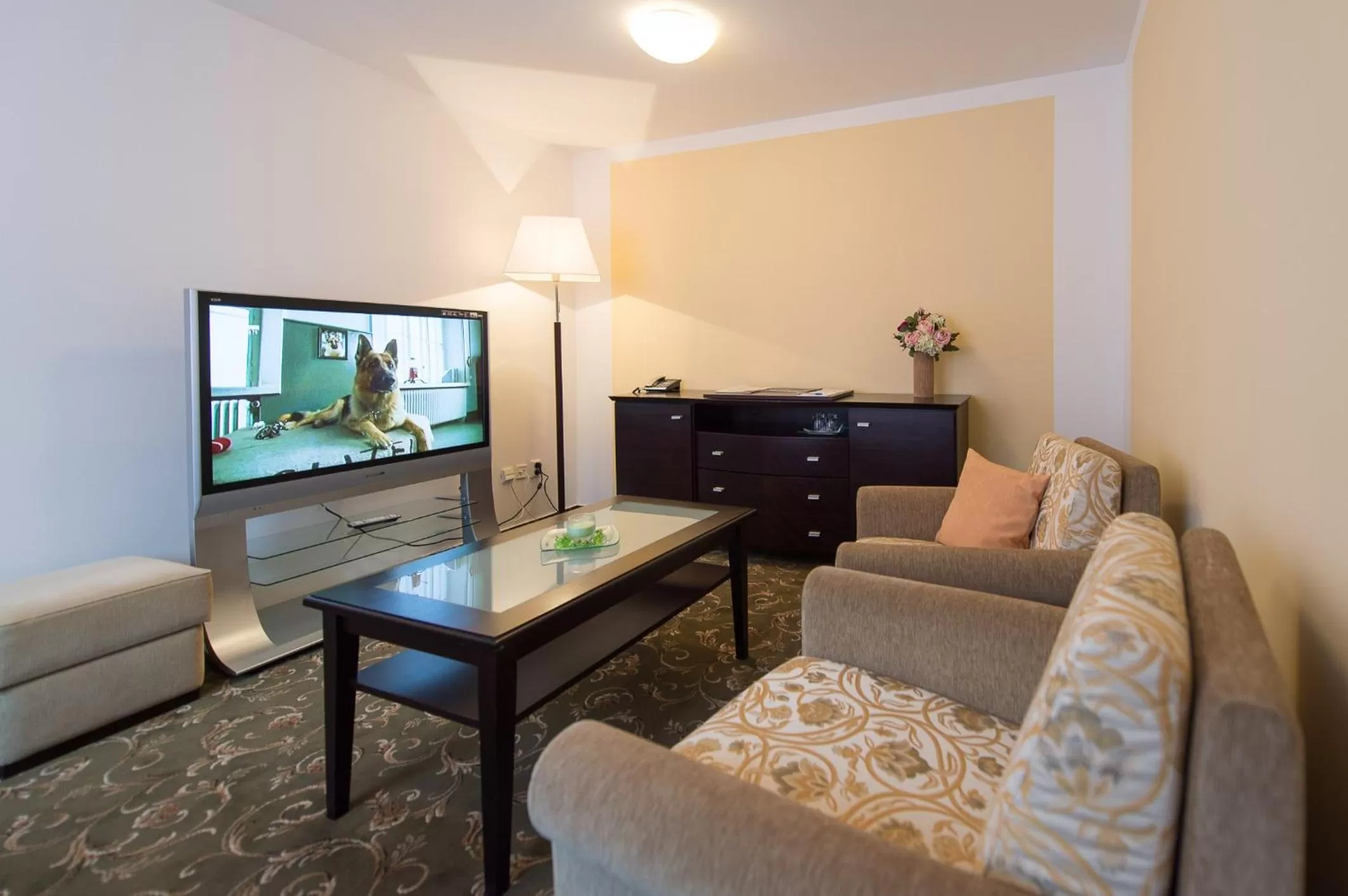 Living room in Sport-V-Hotel