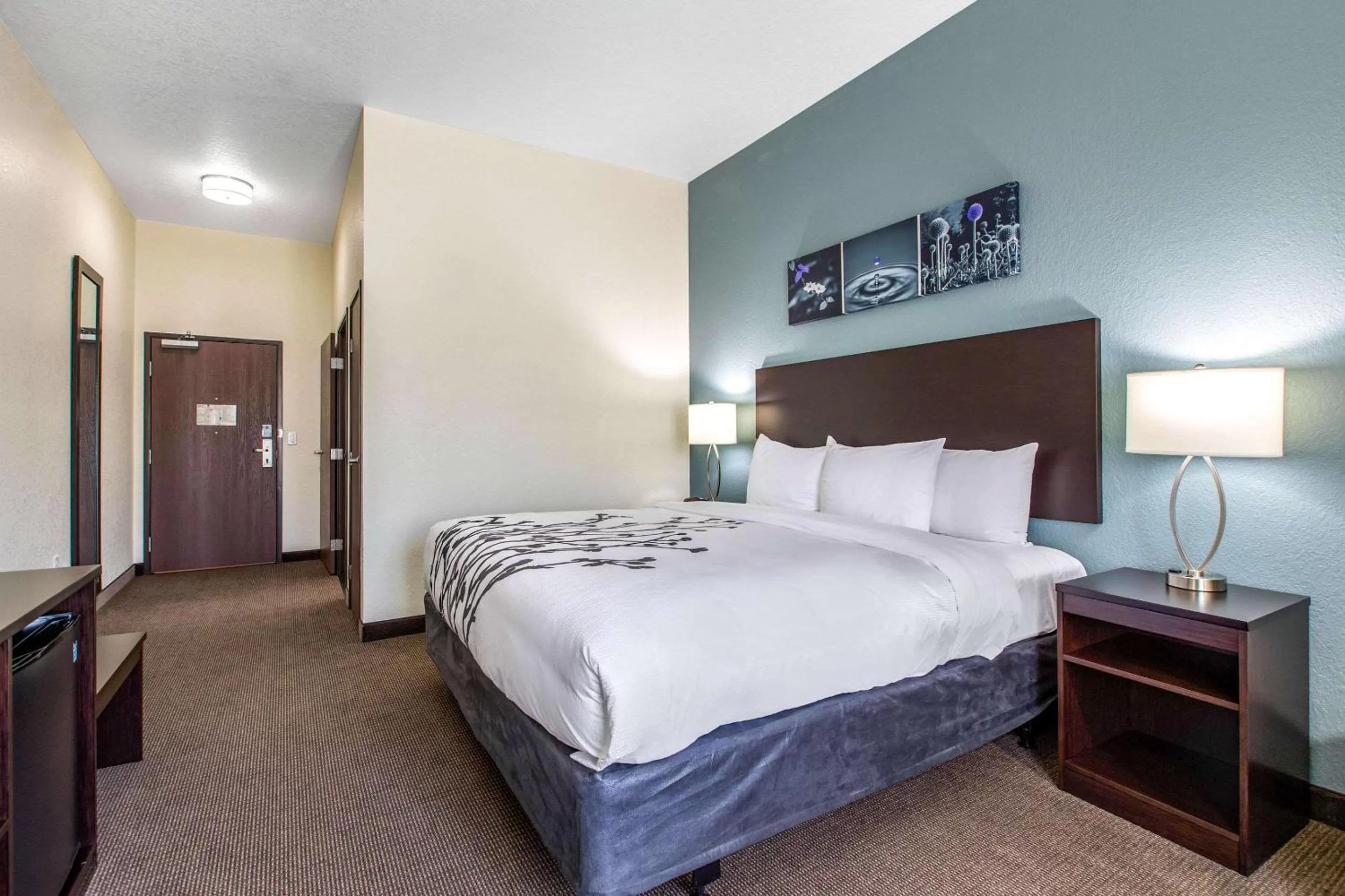 Photo of the whole room, Bed in Sleep Inn & Suites Ankeny - Des Moines