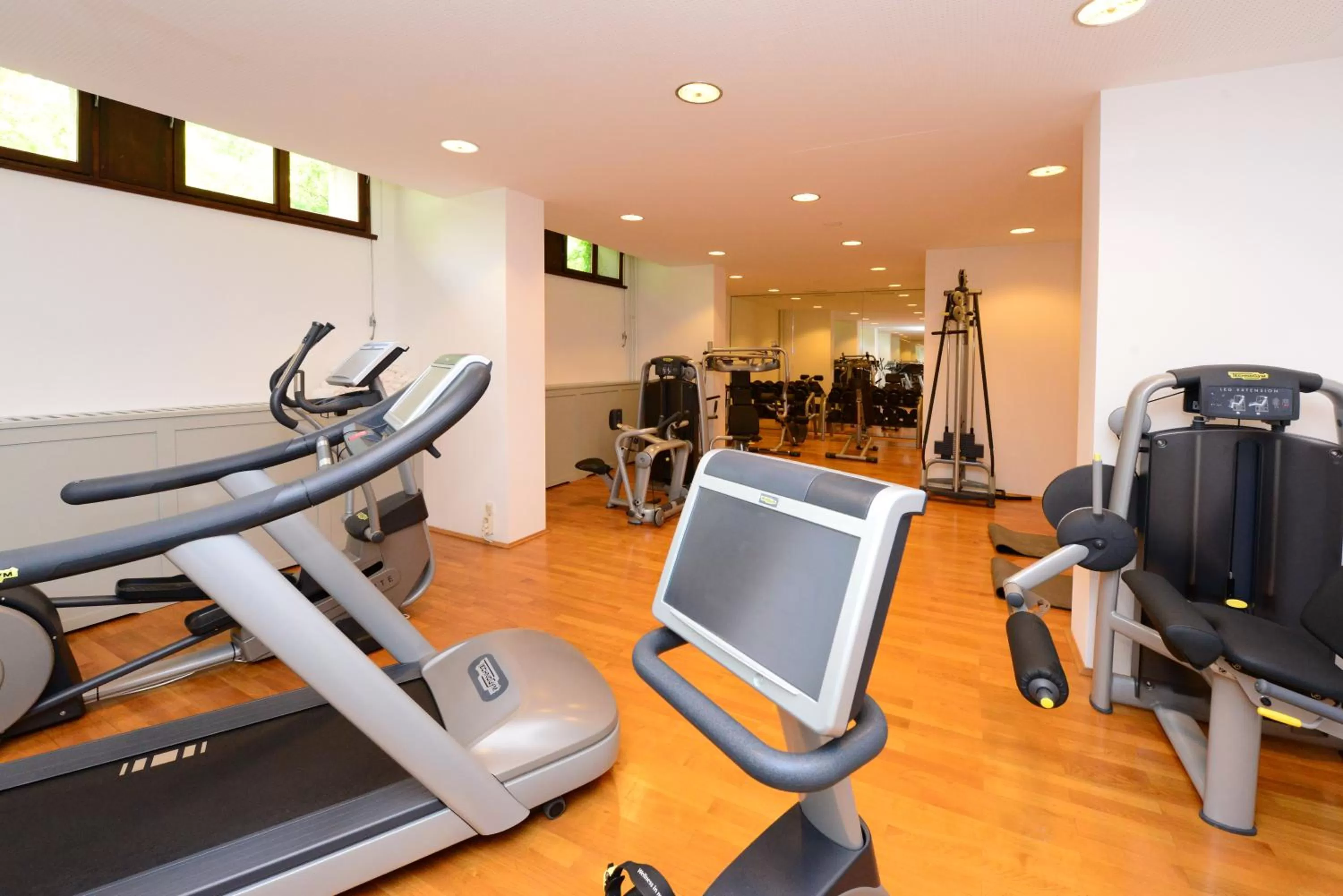 Fitness centre/facilities in Hotel Schloss Eckberg