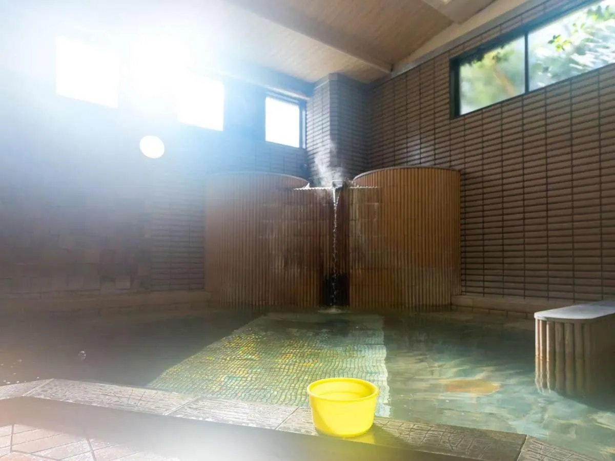 Hot Spring Bath in Hotel Yudanaka