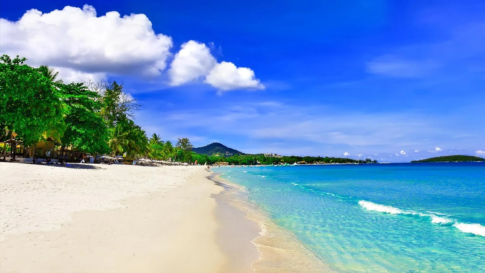 Day in Lotus Friendly Hotel