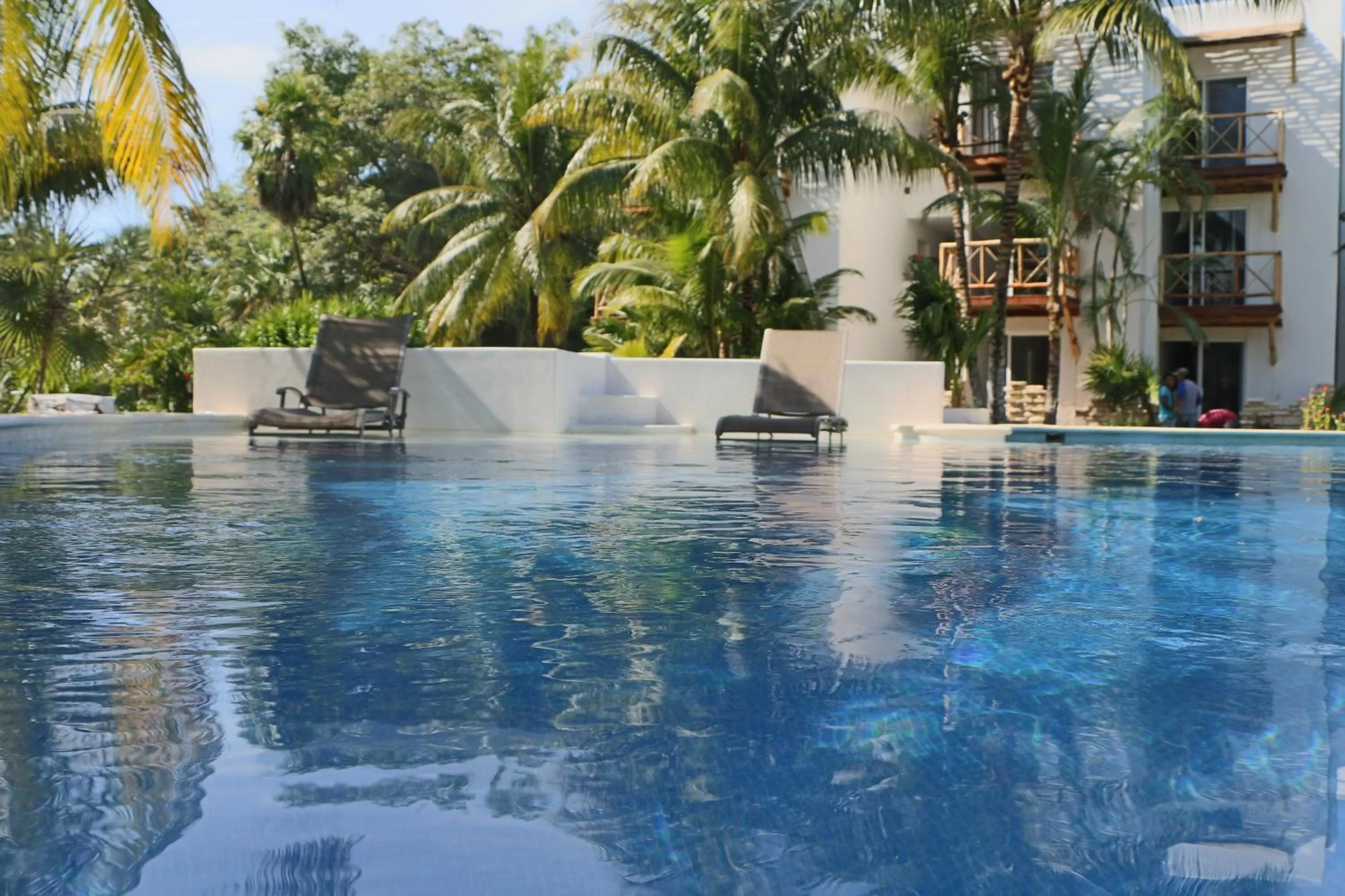 Garden, Swimming Pool in WishTulum