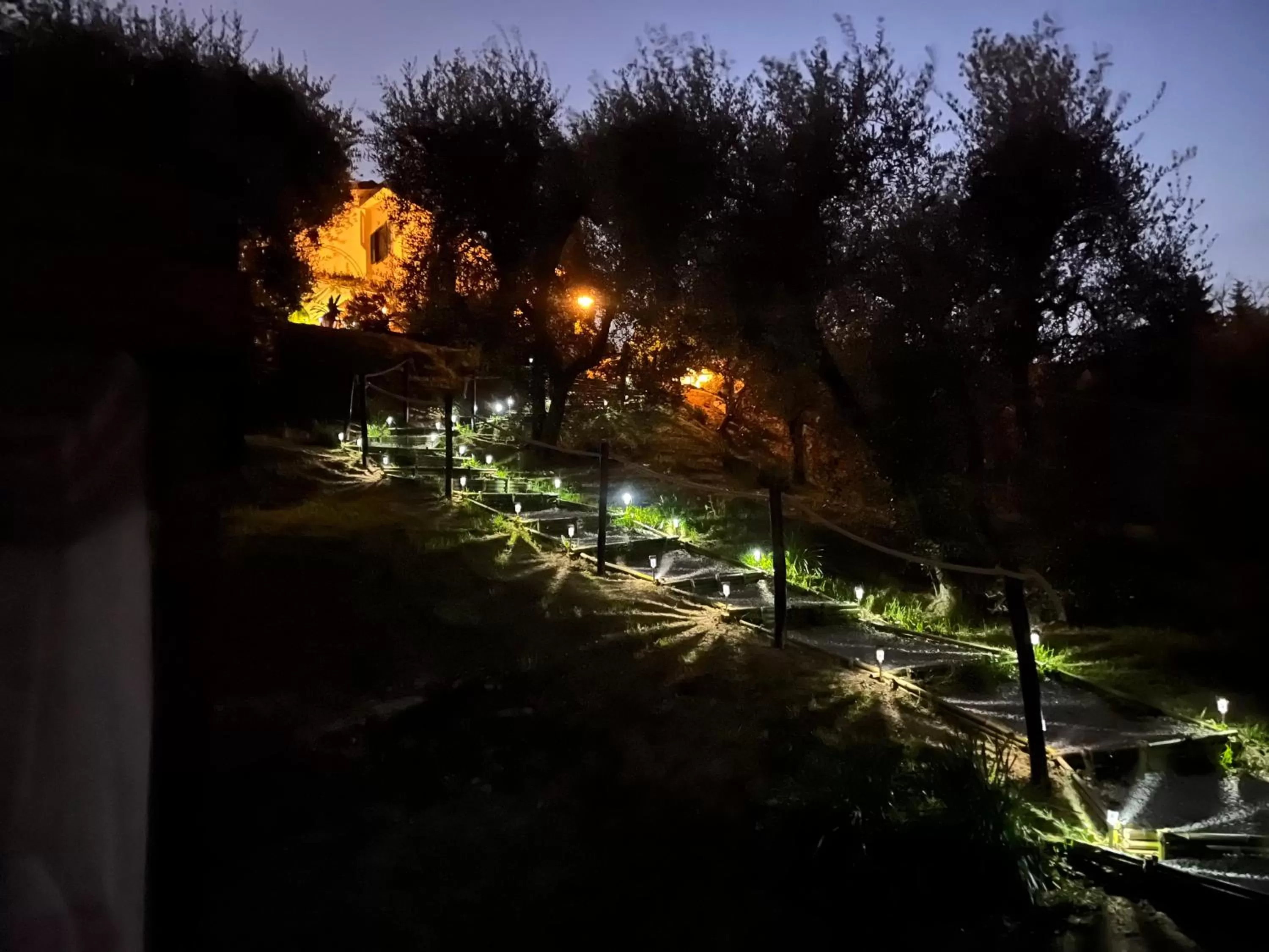 Garden in Casa del Pino