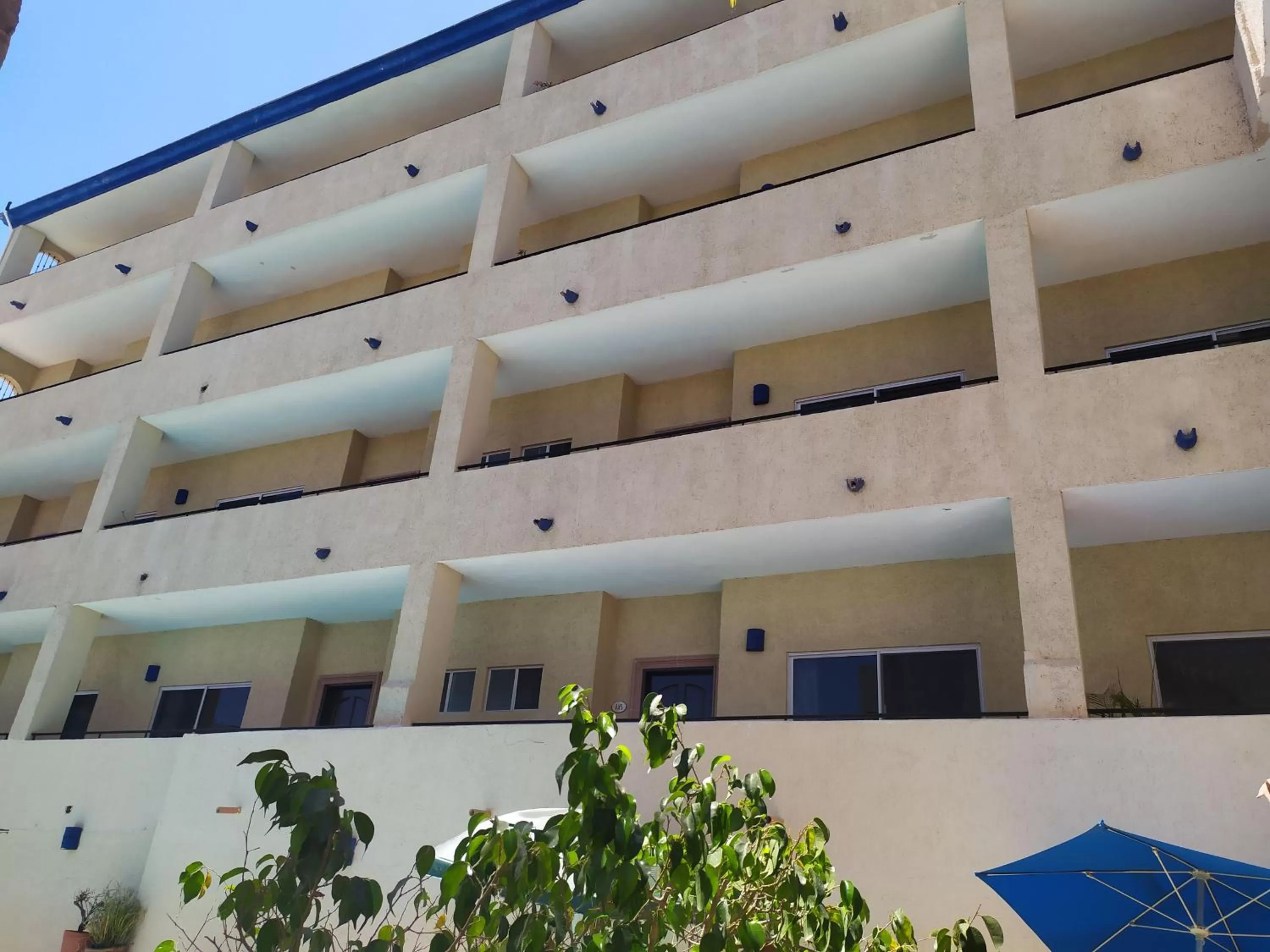 Property building in Las Gaviotas Condo-Hotel La Paz BCS