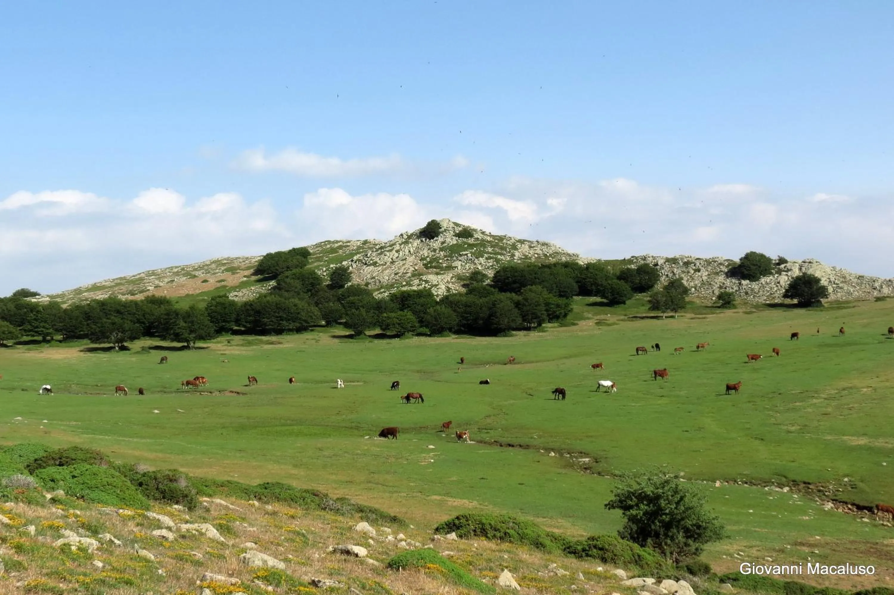 Hiking in Hotel Residenza Petra