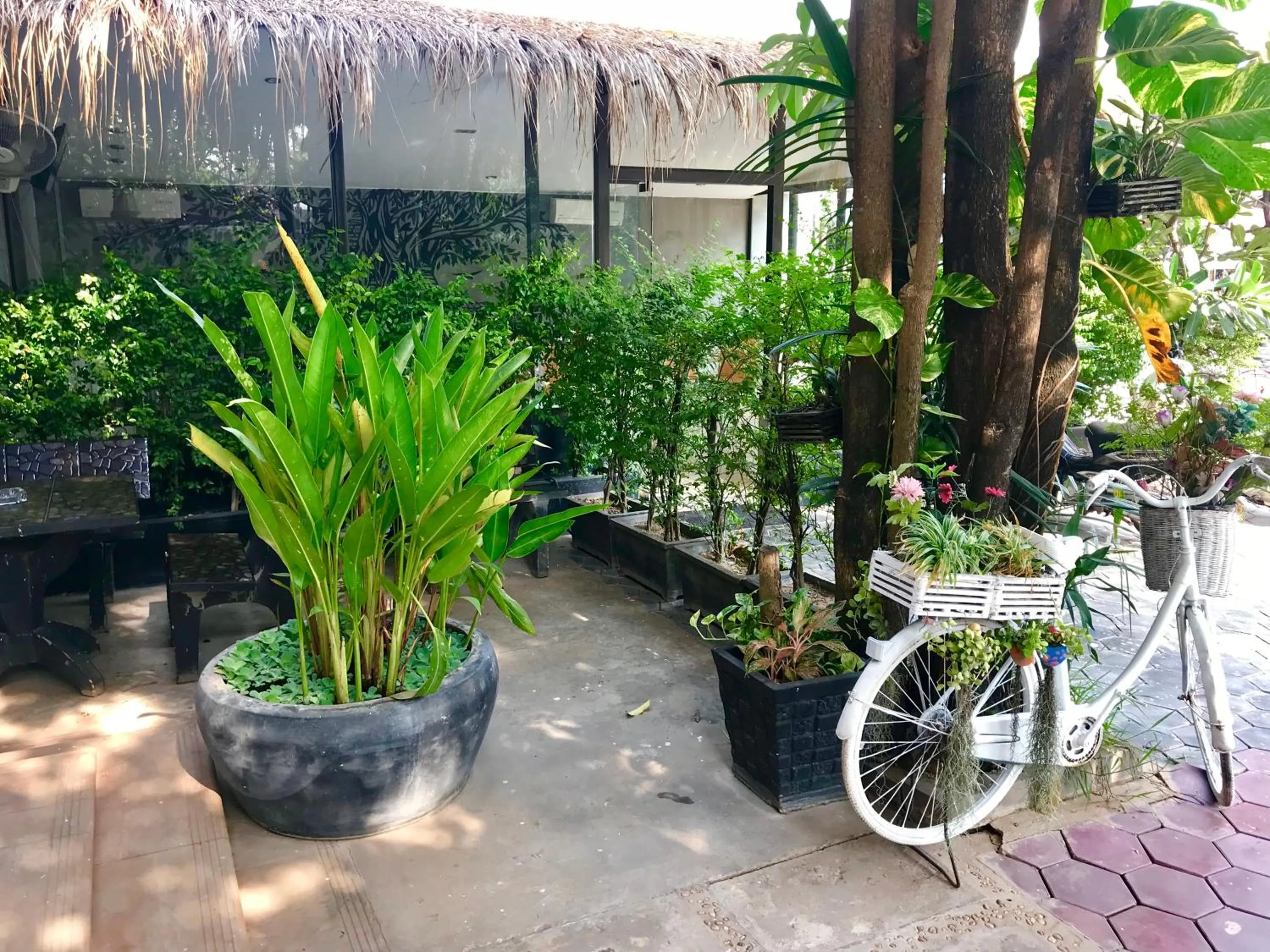 Garden in Champey Villa
