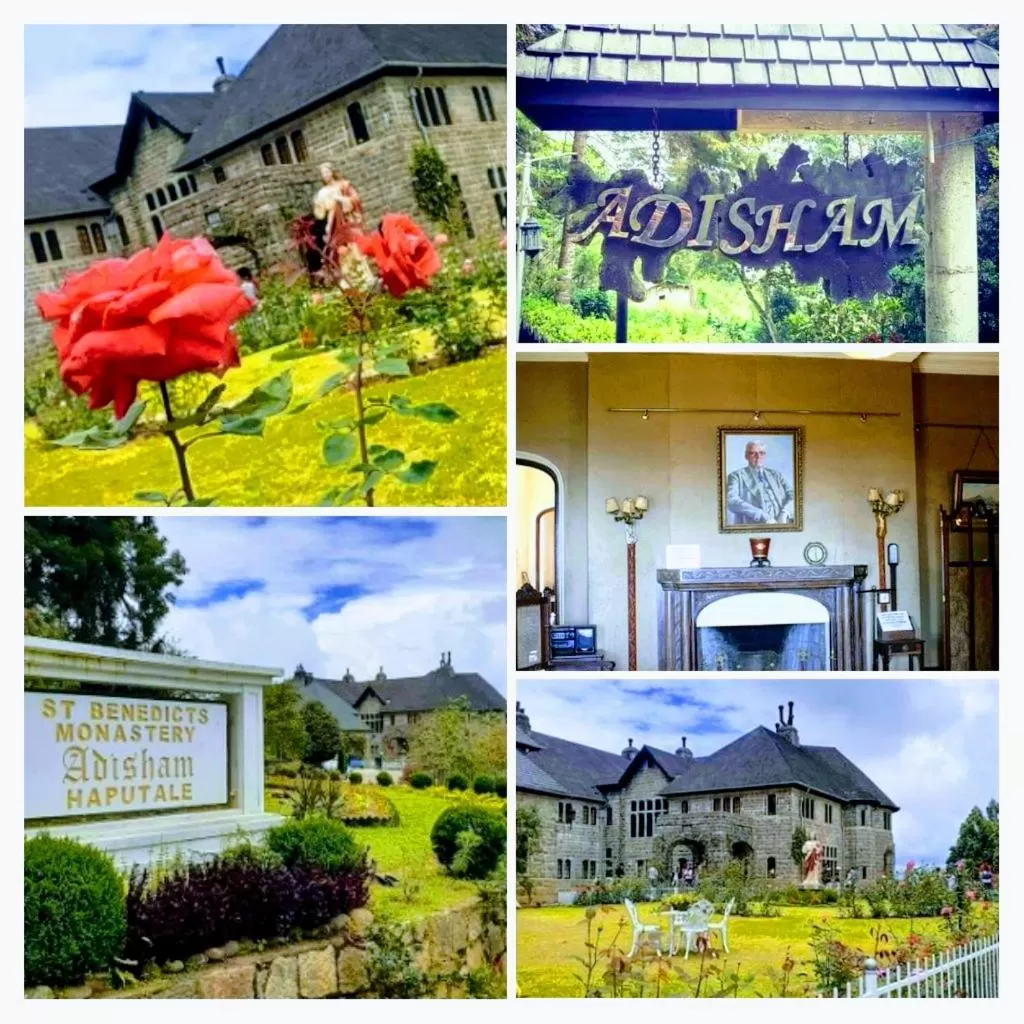 Property Building in Saddle Cottage