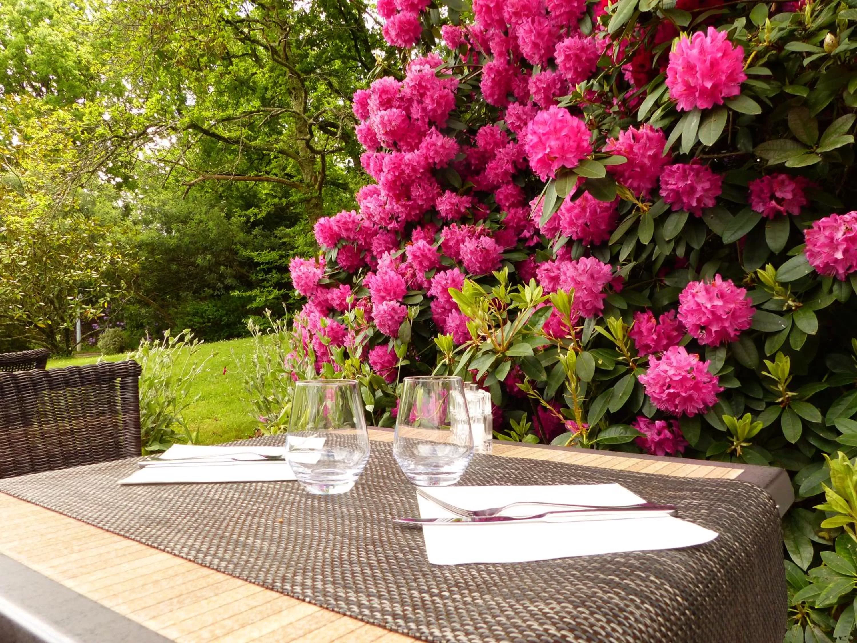 Balcony/Terrace in Best Western Auray le Loch