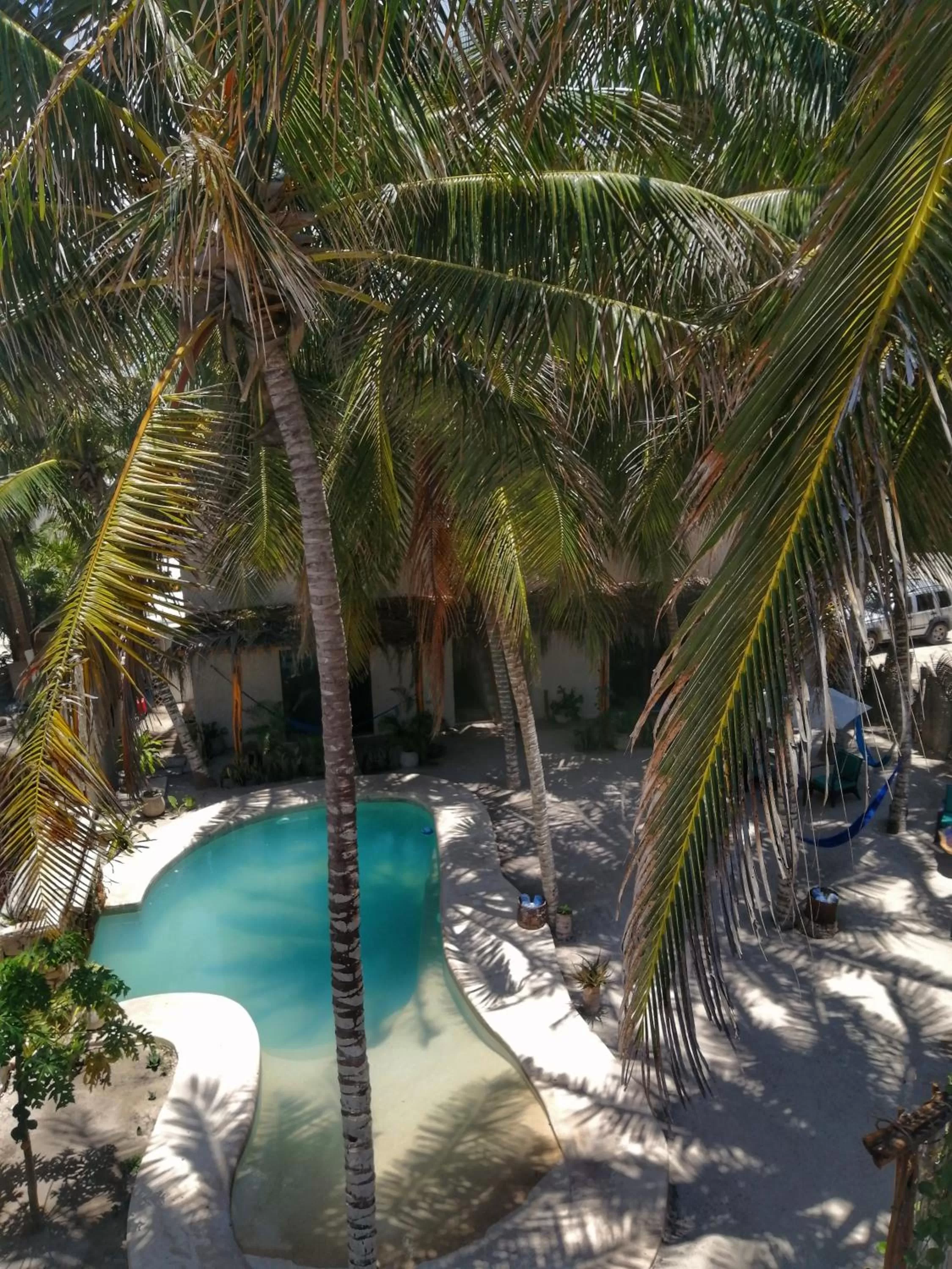 Pool View in Hotel Boutique Can Cocal El Cuyo