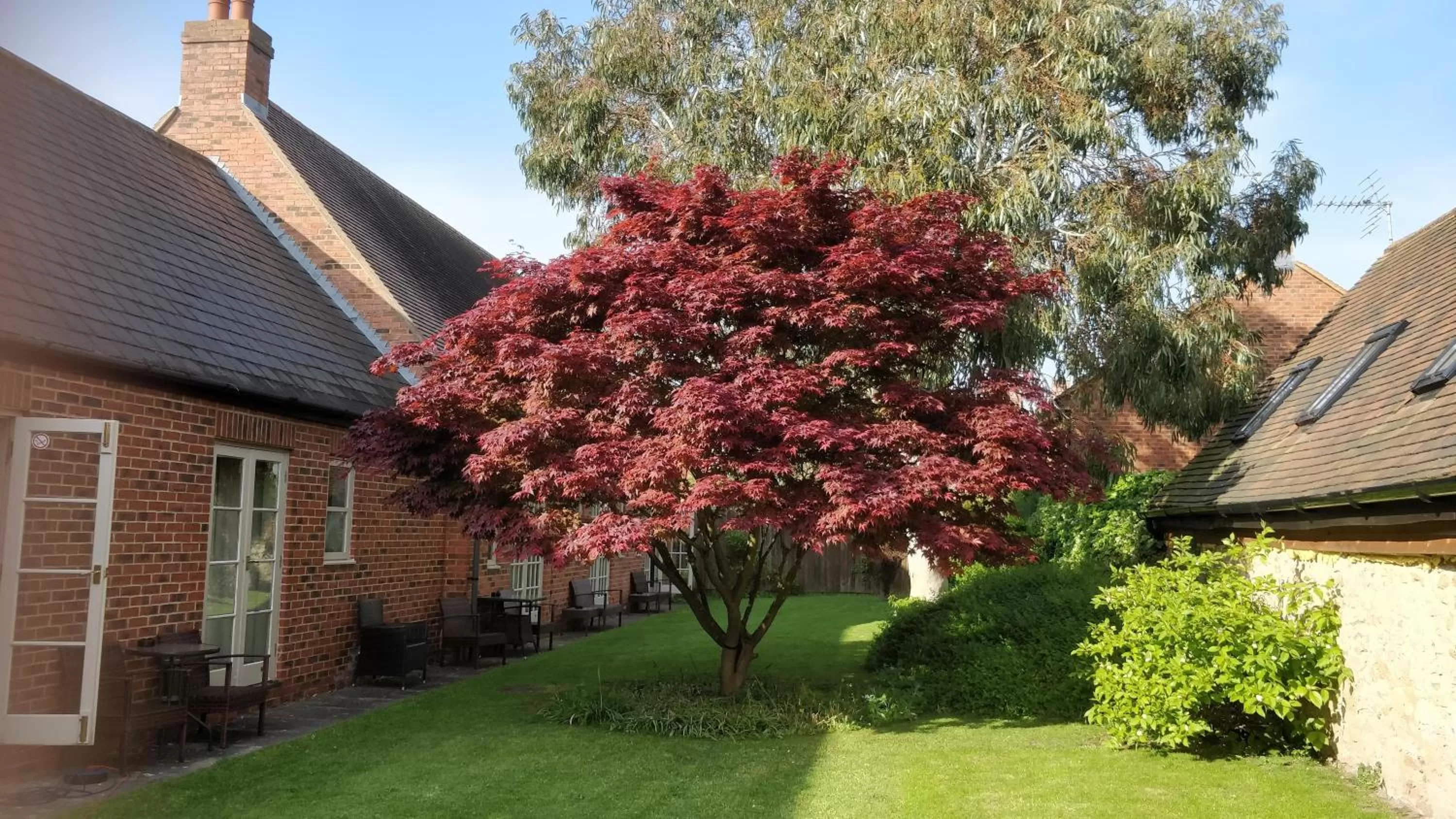 Other in The Spread Eagle Hotel