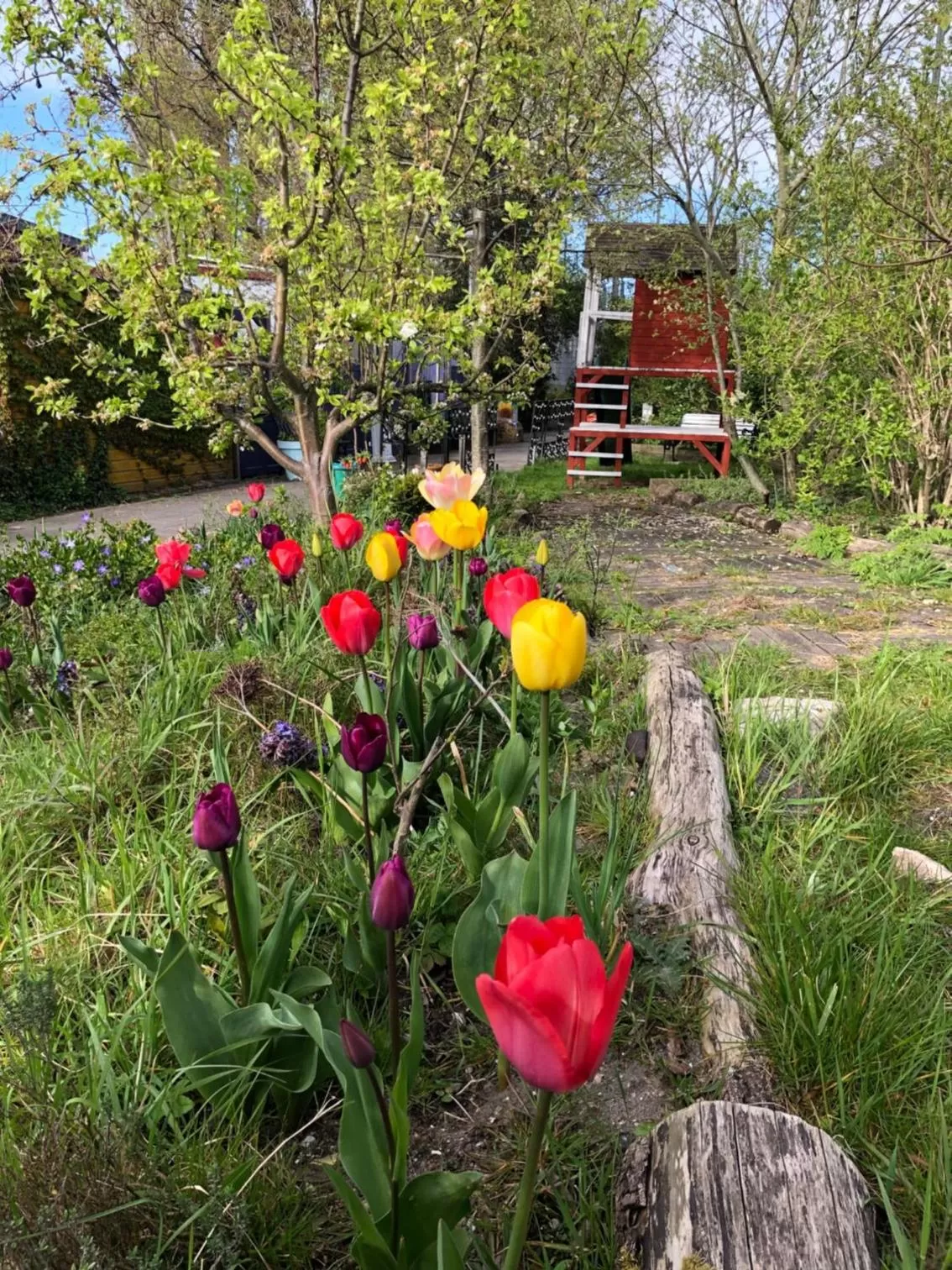 Garden in Houseboat apartment with water terrace, free parking, free bikes & fast wifi