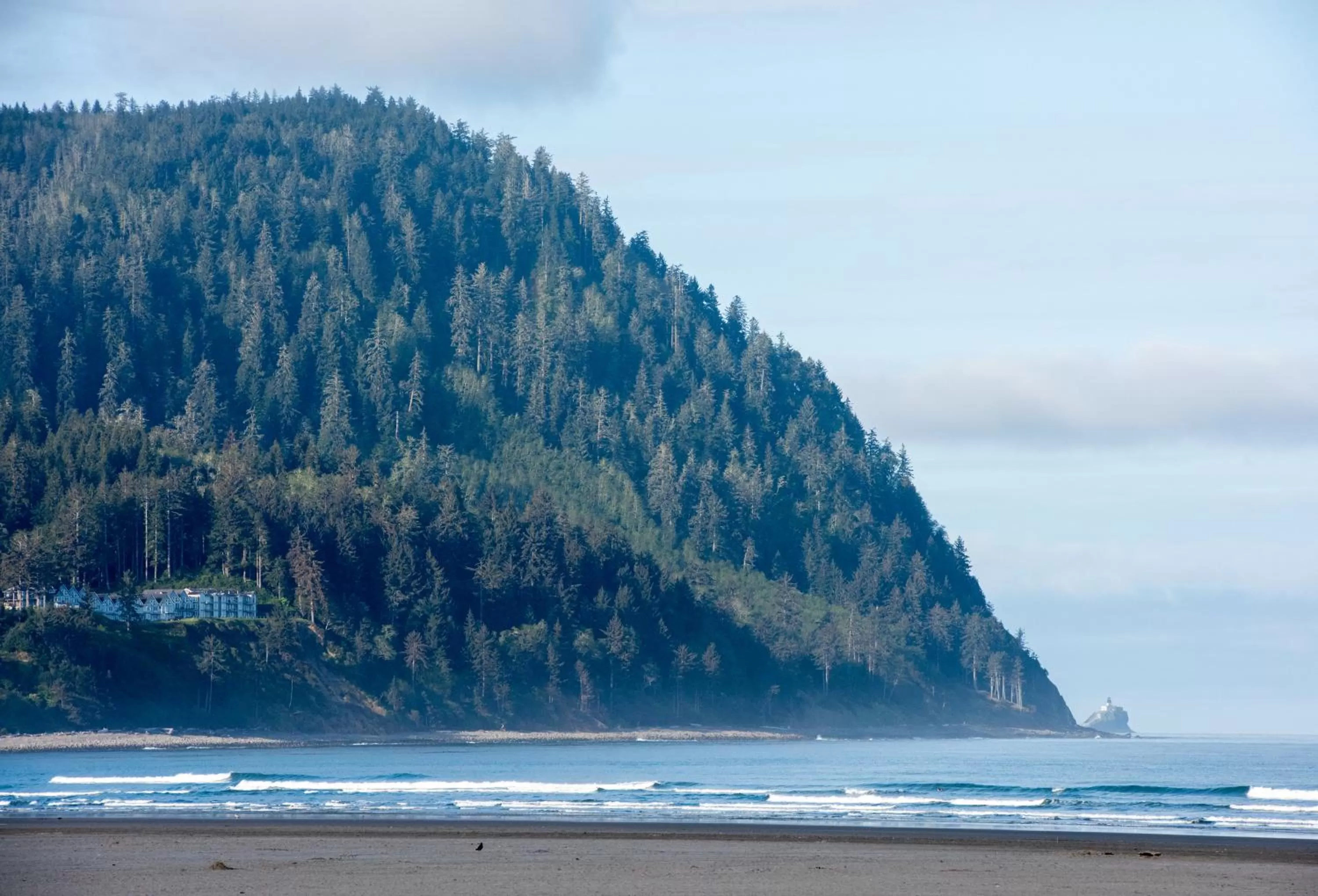 Natural landscape in The Ocean Front at Seaside