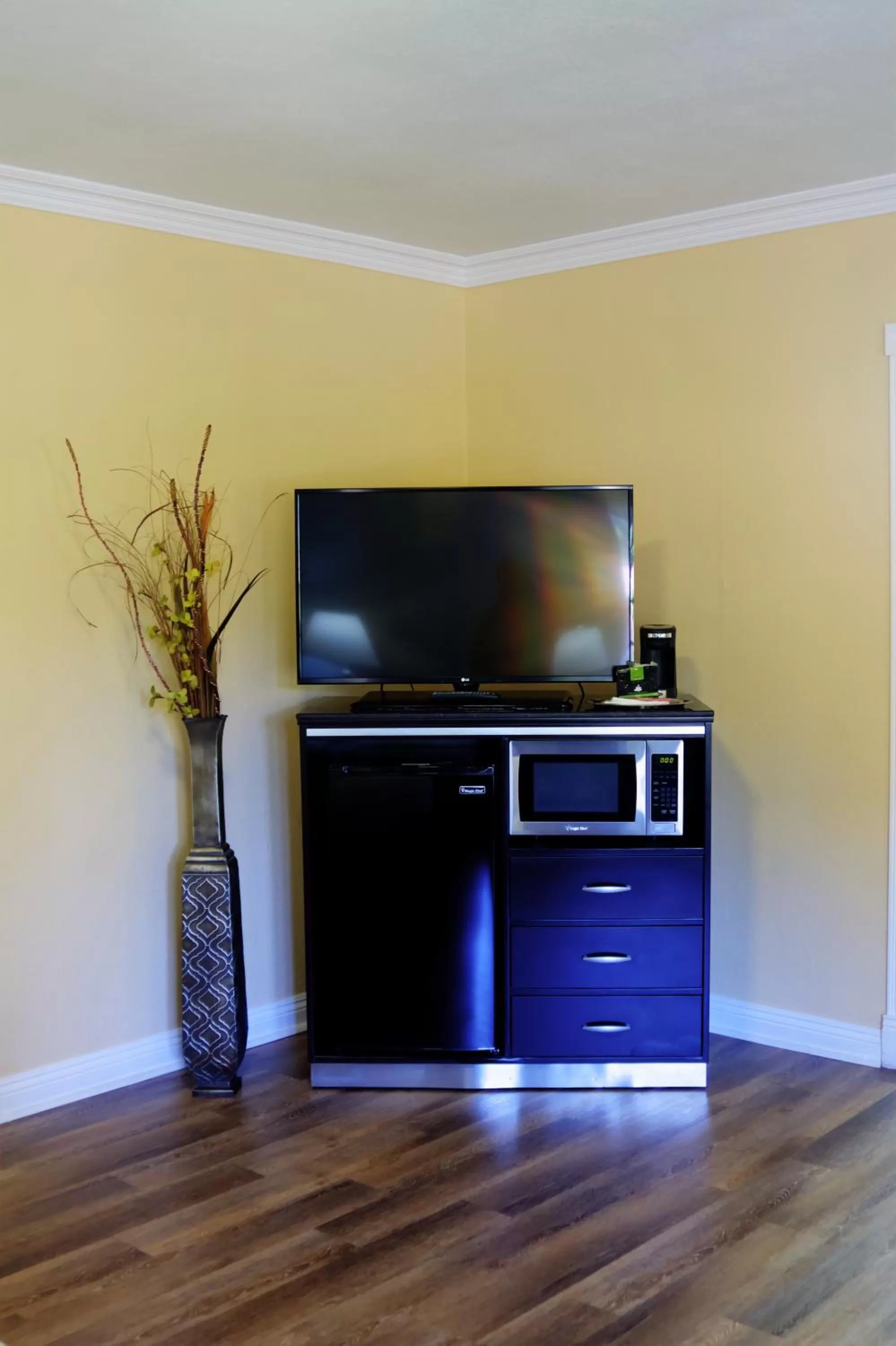 TV and multimedia in Palm Tropics Motel