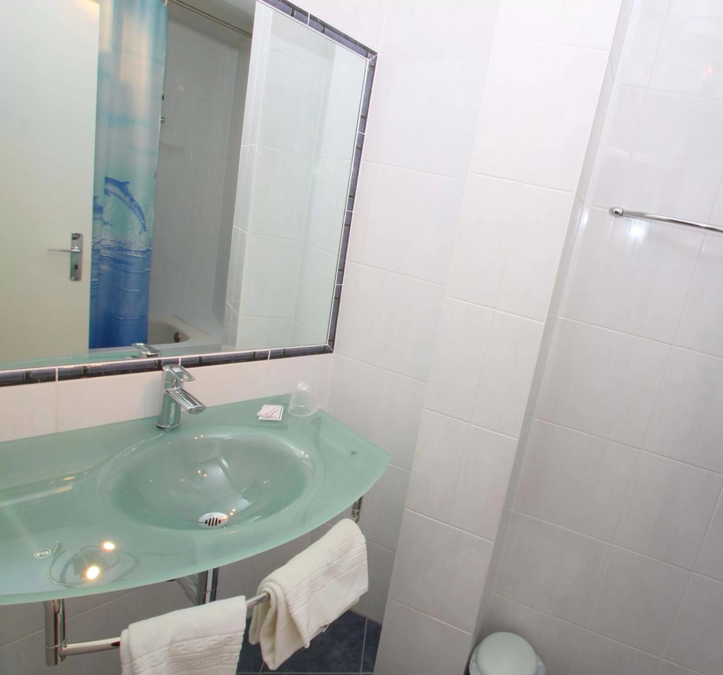 Shower in Hotel Champ Alsace