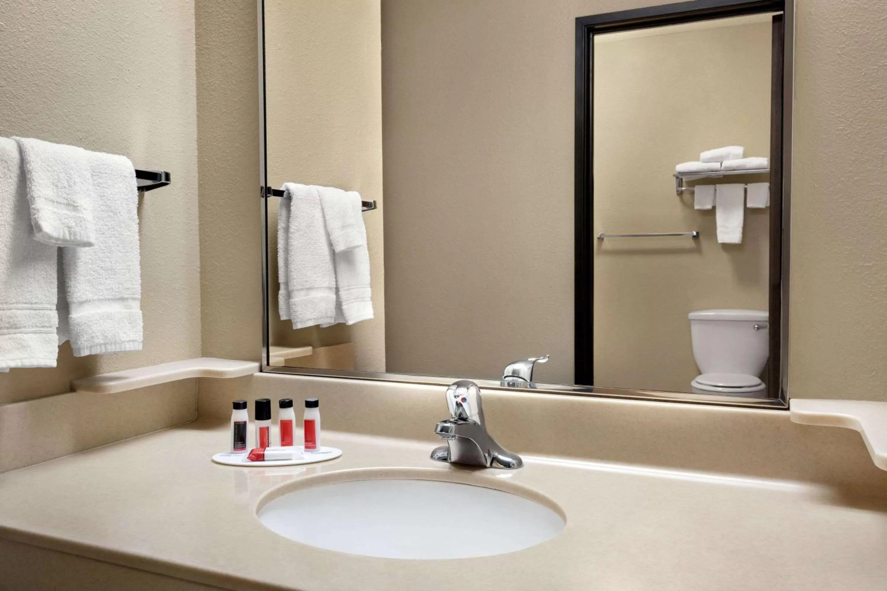 Bathroom in Baymont by Wyndham Sioux Falls North,I-29,Russell St, Airport