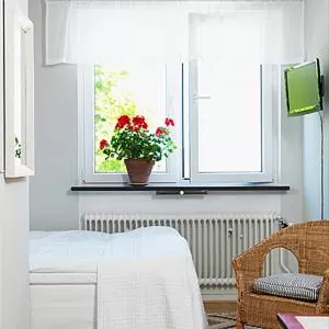 Twin Room Standard in Apotekarns B&B