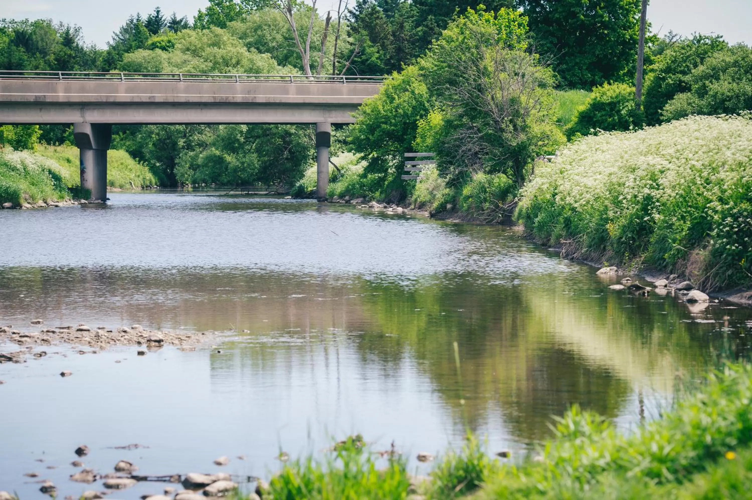 Property building in Servus Stratford