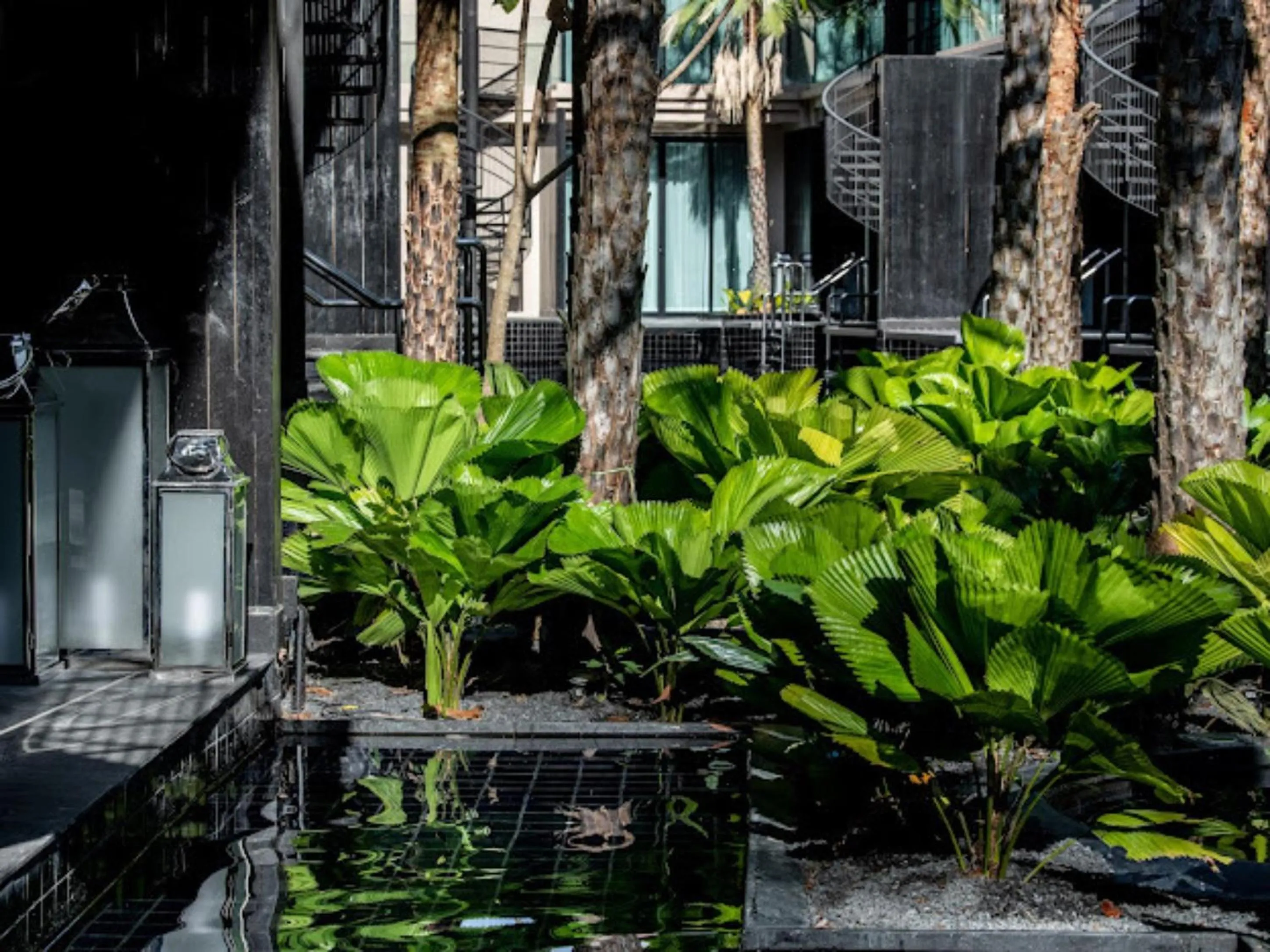 View (from property/room) in Areca Resort and Spa