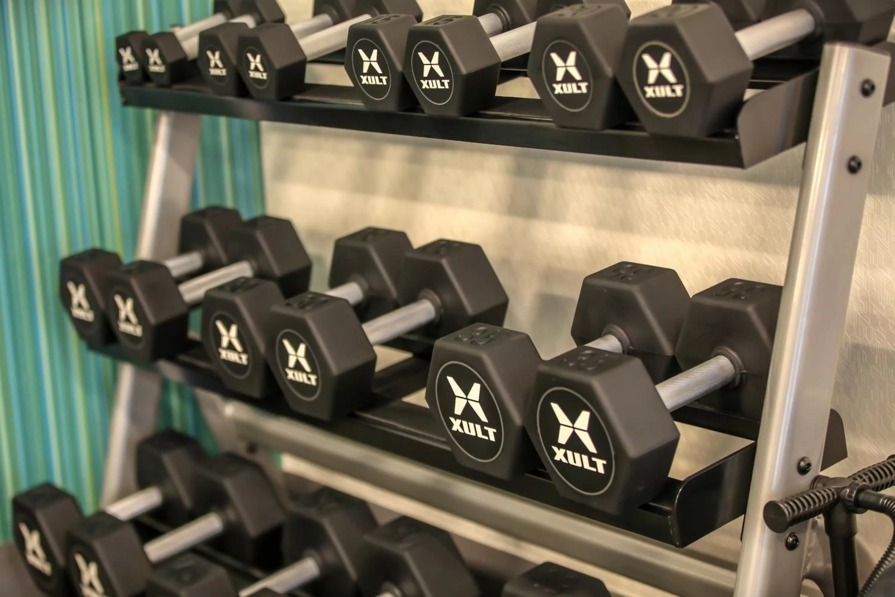 Fitness centre/facilities in Holiday Inn Express & Suites Nashville North - Springfield by IHG